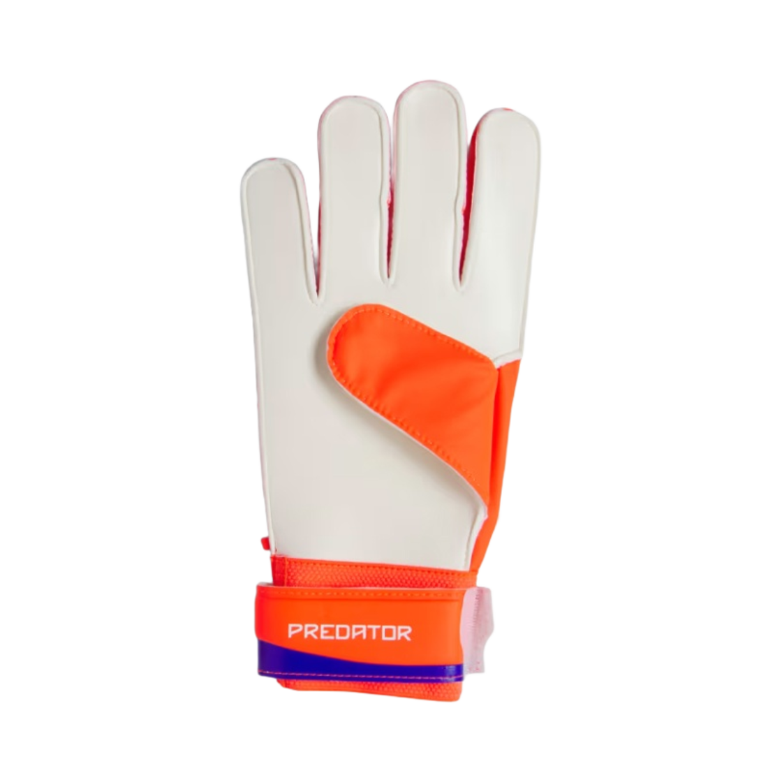 아디다스 프레데터 트레이닝 골키퍼 글러브 루시드 블루 솔라 레드 화이트(Adidas Predator Training Goalkeeper Gloves Lucid Blue Solar Red White) - 2