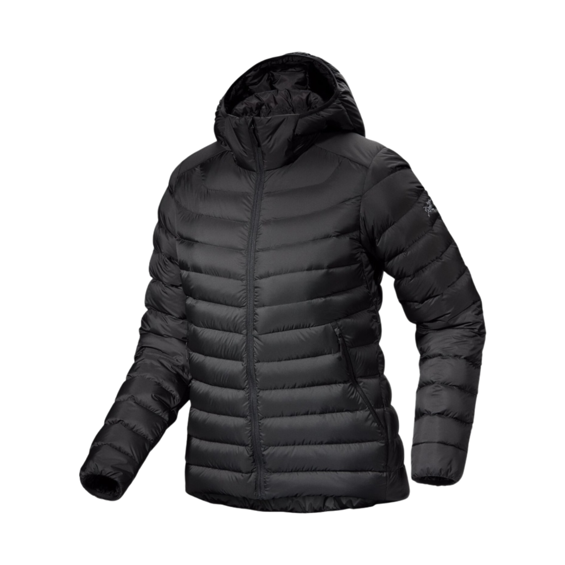 (W) 아크테릭스 세륨 후디 블랙((W) Arc'teryx Cerium Hoody Black)