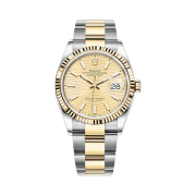 Rolex Datejust 36mm 126233 Fluted Motif Golden Oyster