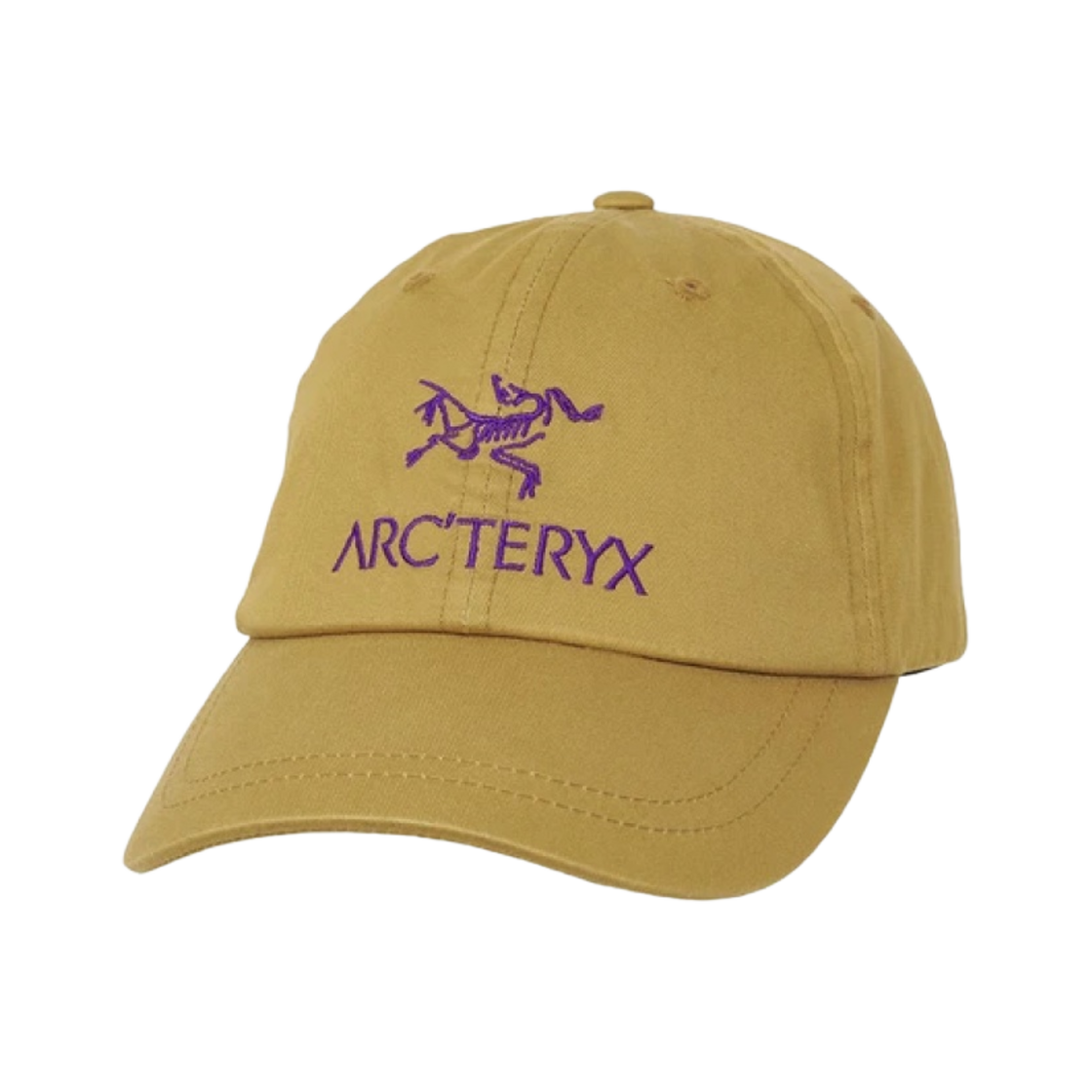 팔라스 x 아크테릭스 6-패널 캡 골드 - 20FW
