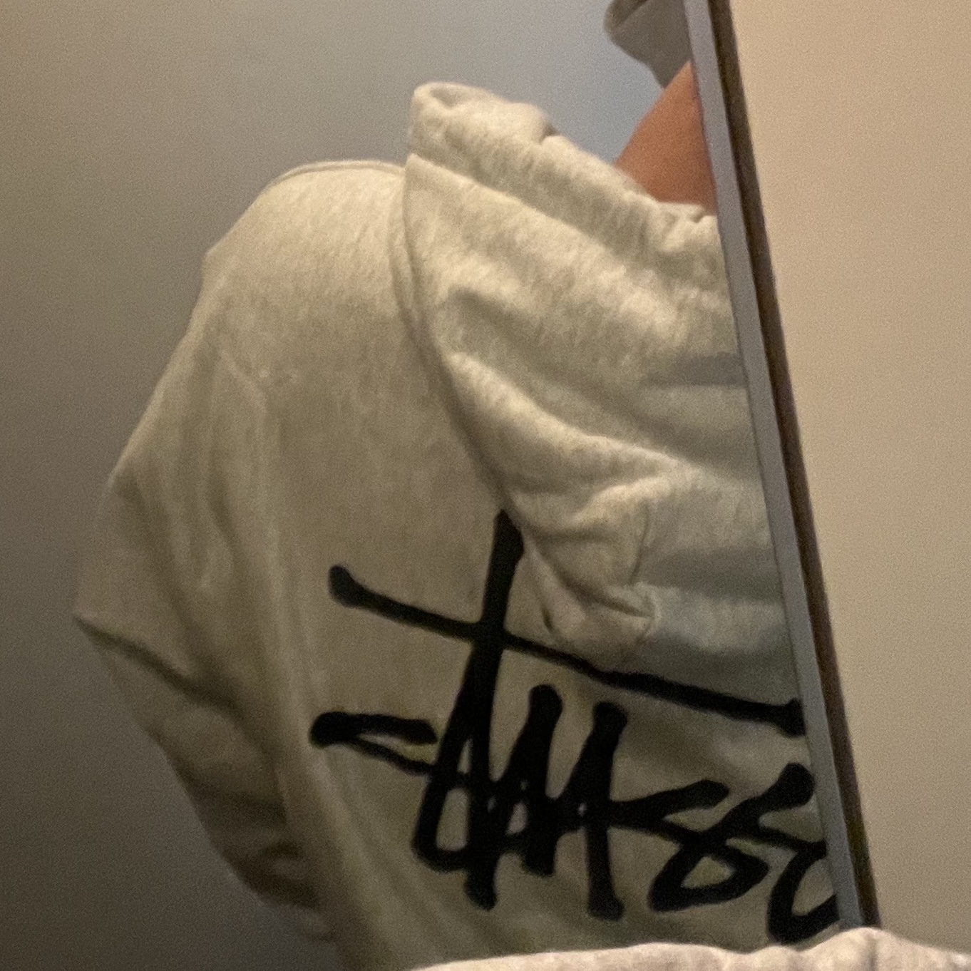 Stussy Basic Stussy Zip Hoodie Ash Heather 착용 스타일 - 2