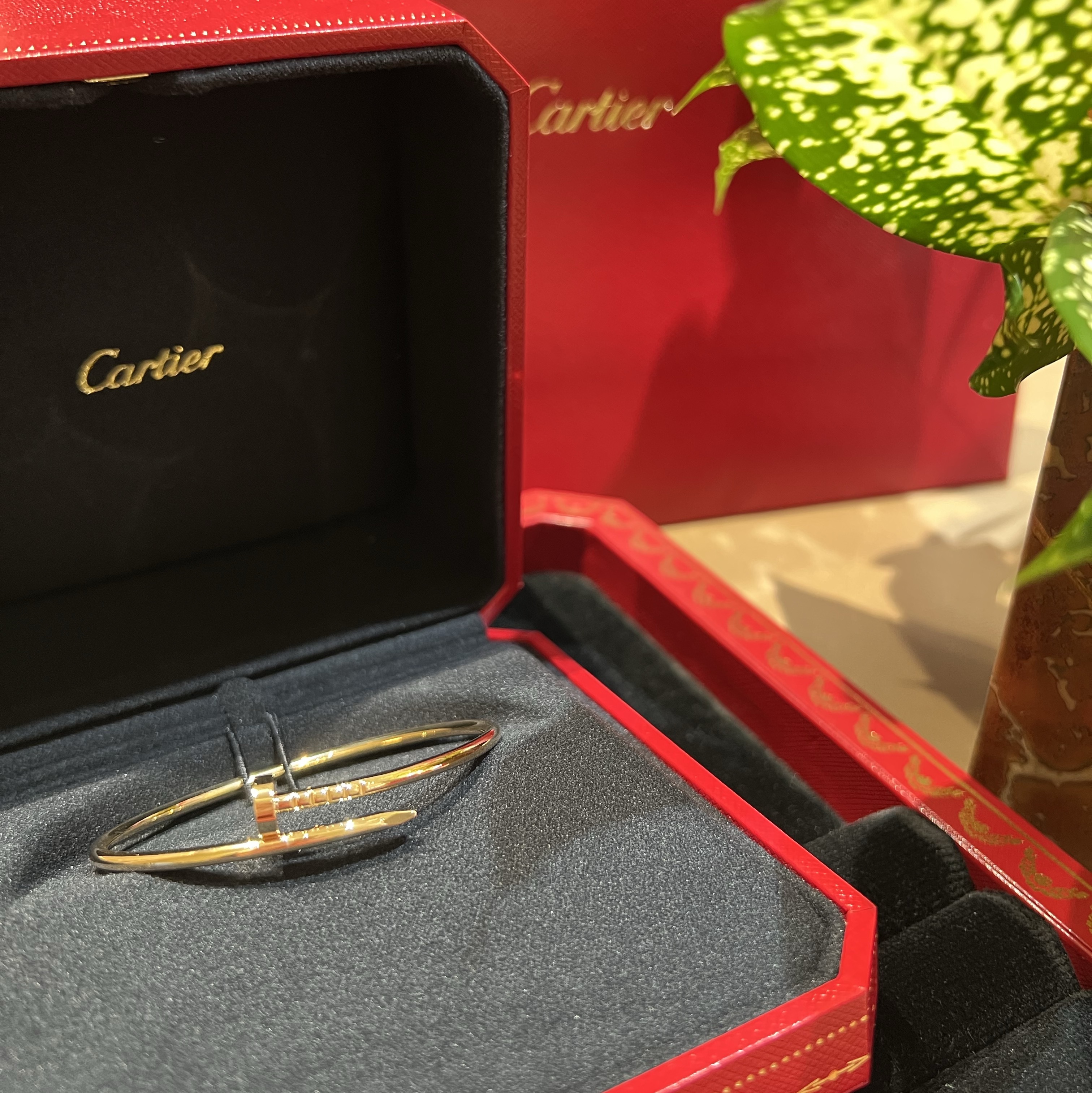 Cartier Juste un Clou Bracelet Small Yellow Gold 착용 스타일