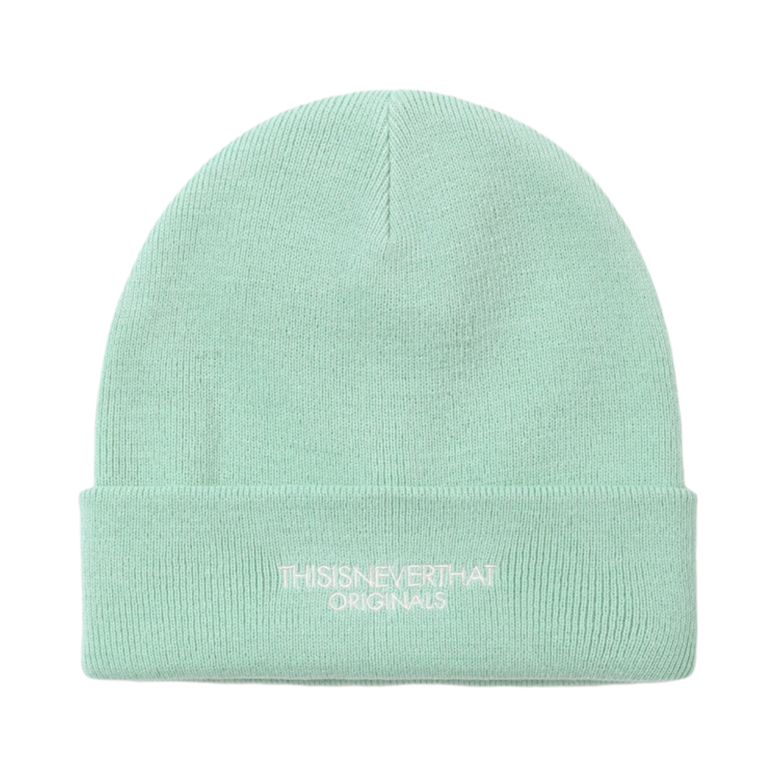 디스이즈네버댓 FR-로고 비니 민트(Thisisneverthat FR-Logo Beanie Mint) - 1