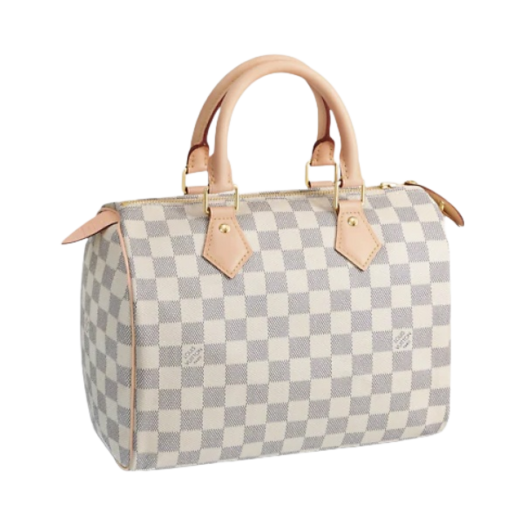 Louis Vuitton Speedy 25 Damier Azur