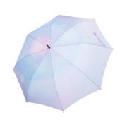 Bloomingtale Compact Disk Umbrella Silver Dye Handle