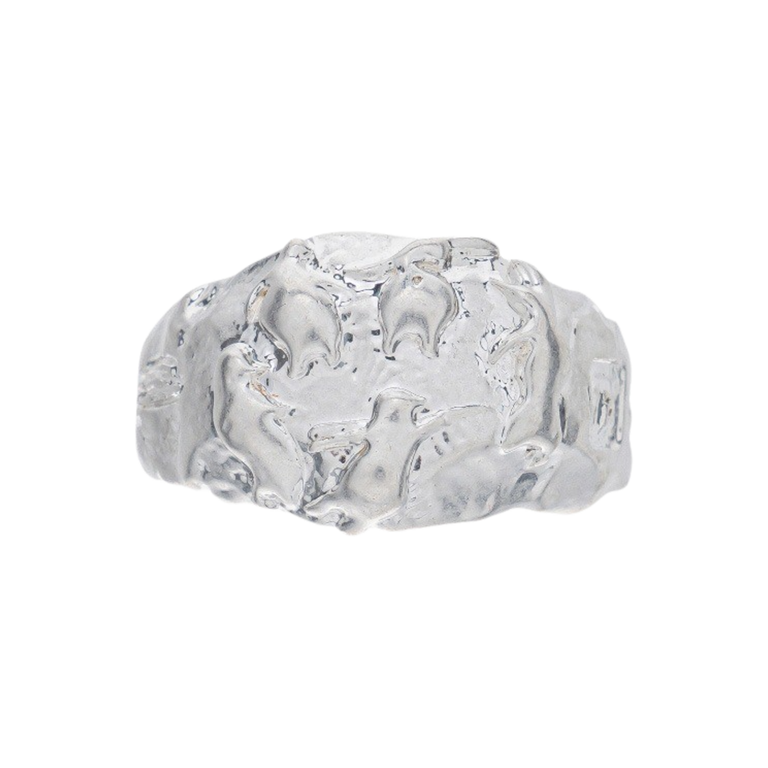 FWRSAXA811M Opening Project Polarland Ring SIlver