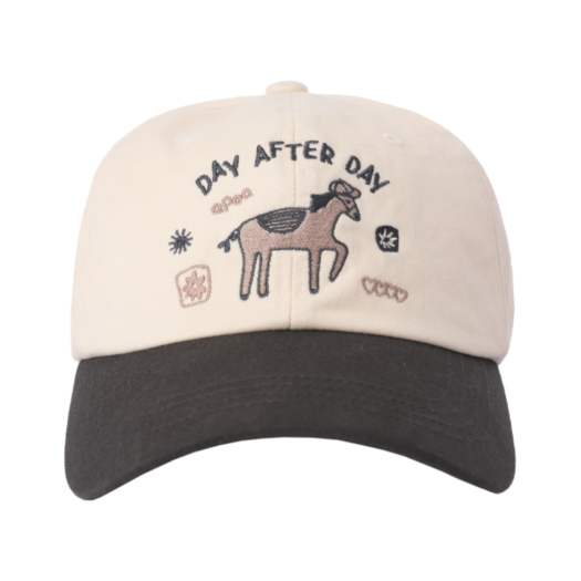 324539 APOA Day After Day Ball Cap Ivory & Charcoal