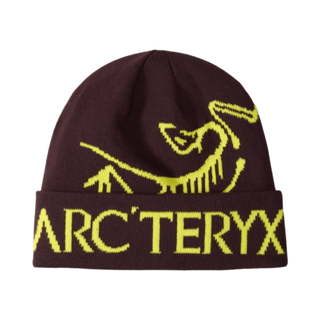 6644 Arc'teryx Bird Word Toque Phantasm Euphoria