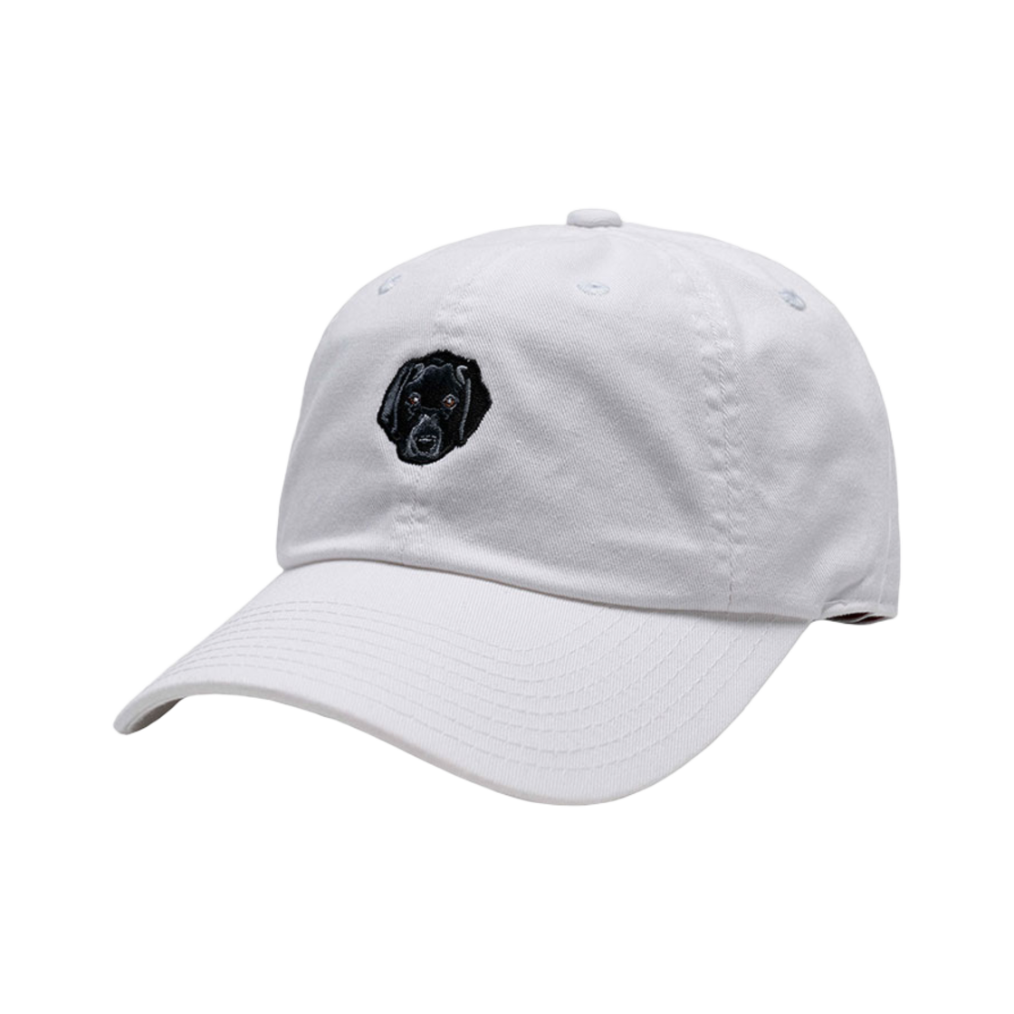 아메리칸 니들 마이크로 슬라우치 캡 랩(American Needle Micro Slouch Cap Lab)