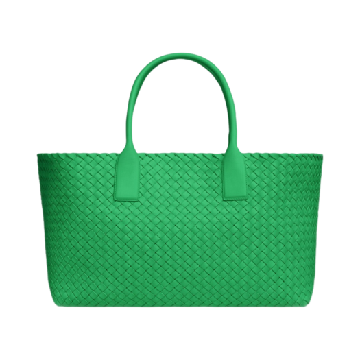 Bottega Veneta Medium Cabat Parakeet