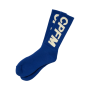 Cactus Plant Flea Market Tube Socks Blue