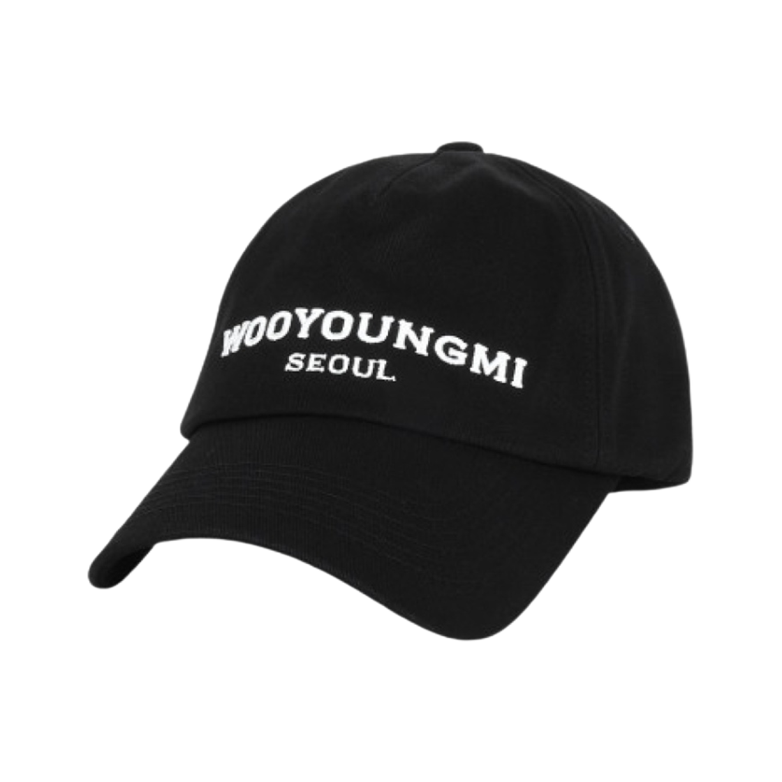 우영미 서울 자수 볼캡 블랙 - 23FW | Wooyoungmi | KREAM