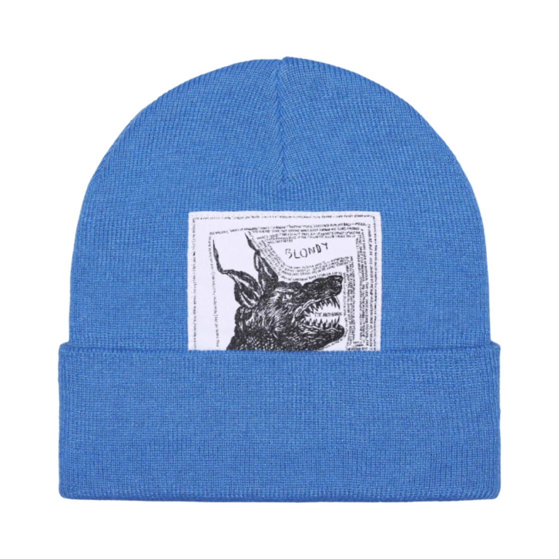 슈프림 x 노스페이스 비니 블루 - 24FW