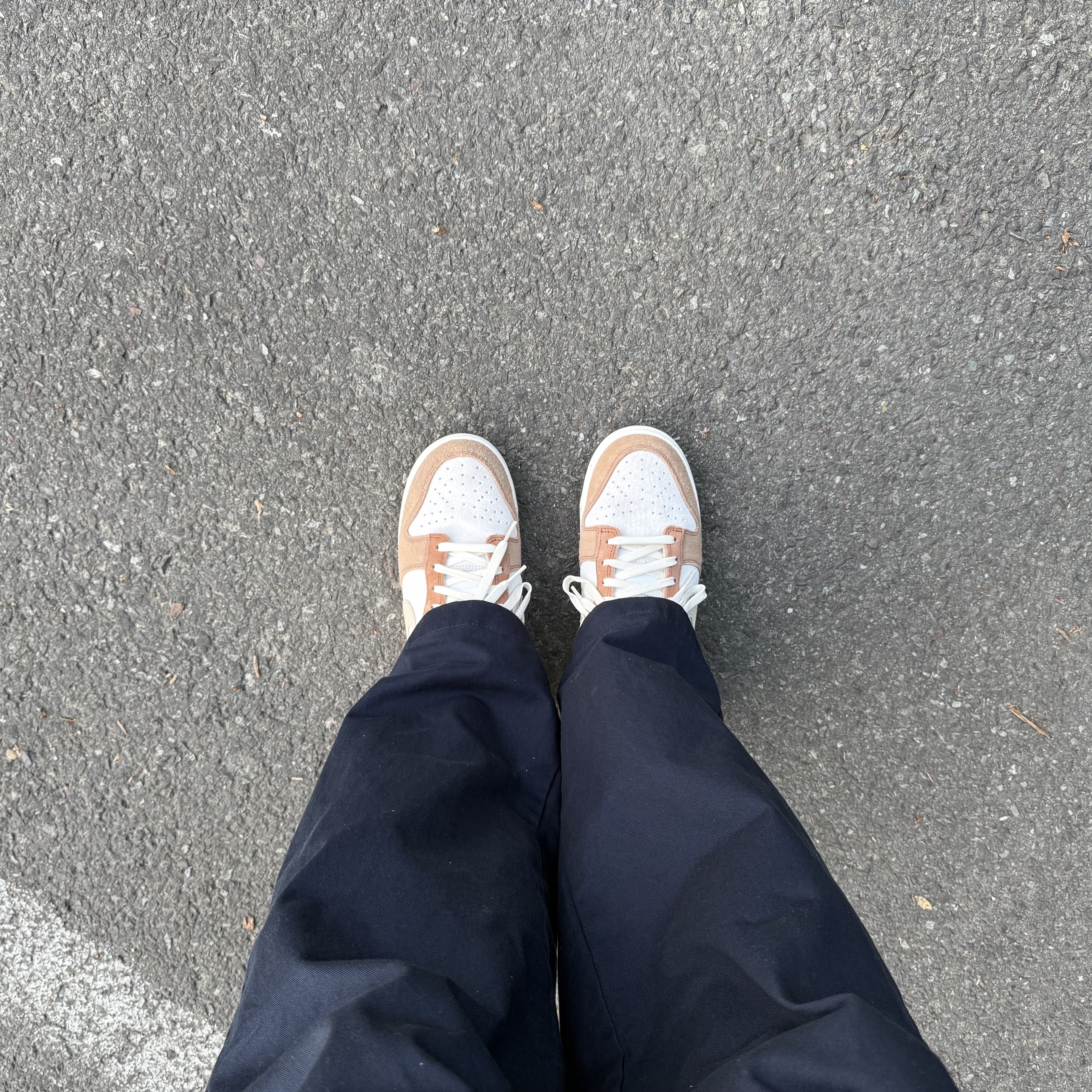 Nike Dunk Low Pro Premium Medium Curry 착용 스타일