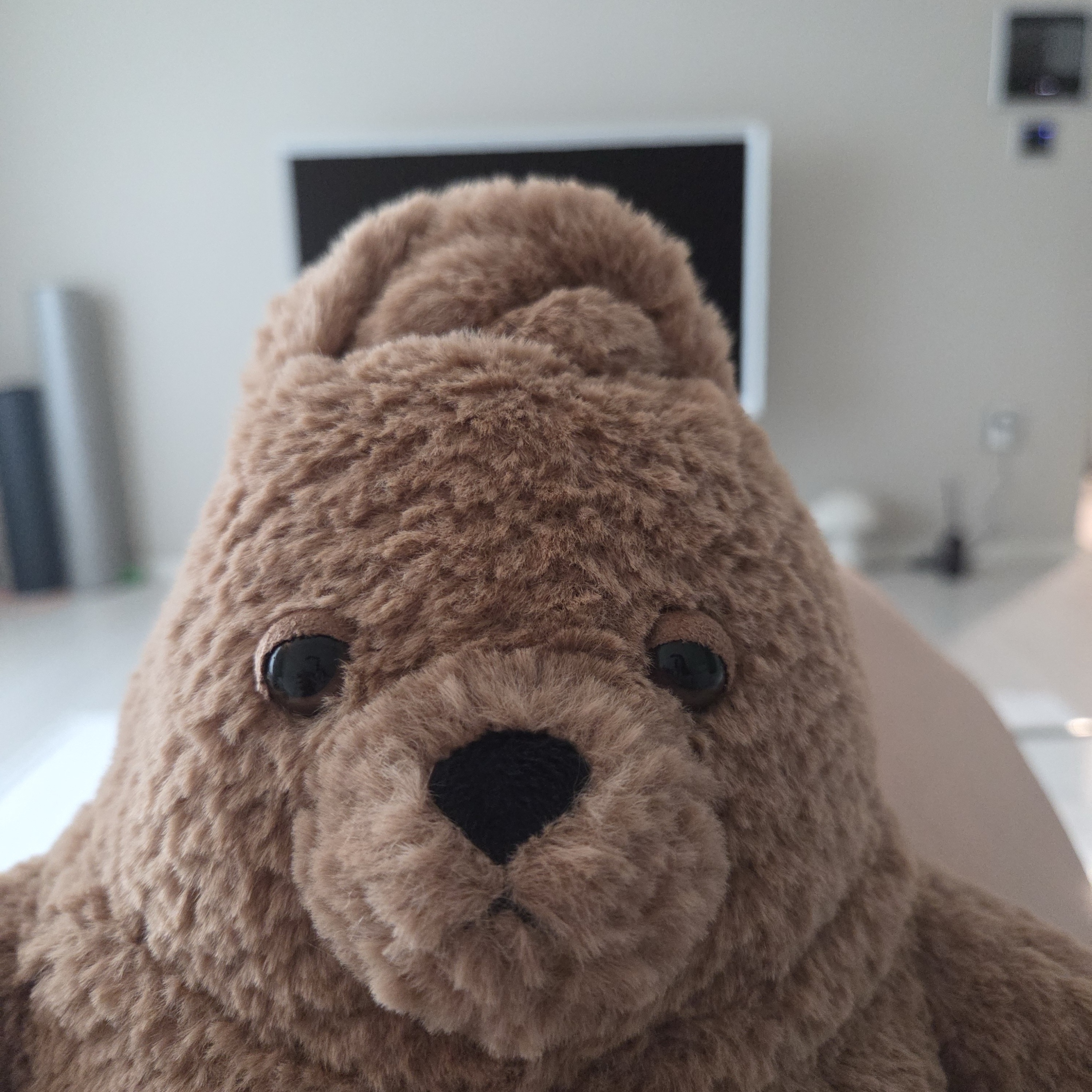 Jellycat Amore Dog Brown 착용 스타일 - 1
