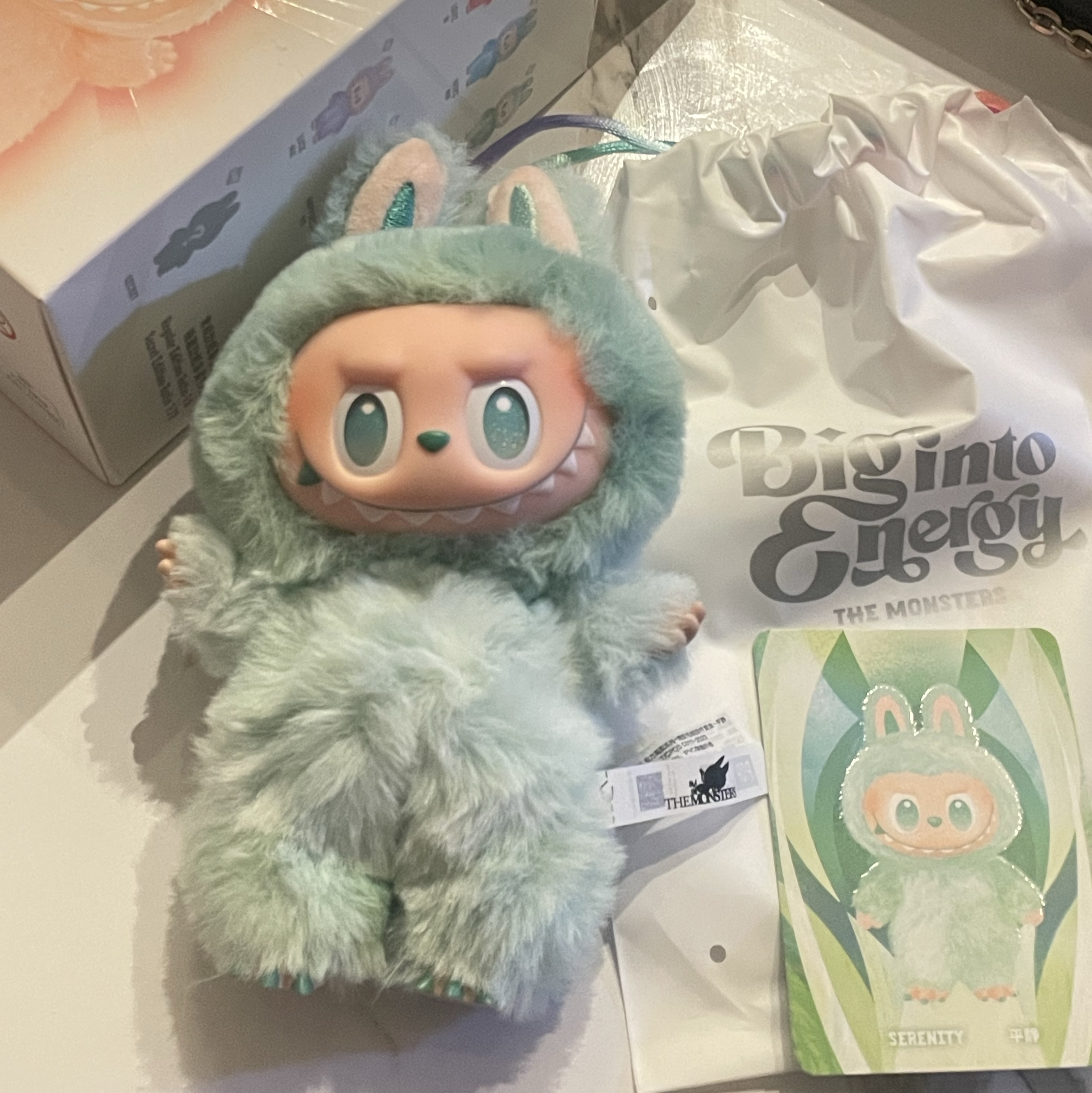 Pop Mart Labubu The Monsters Highlight Series Sealed Case (1 Blind Box) 착용 스타일