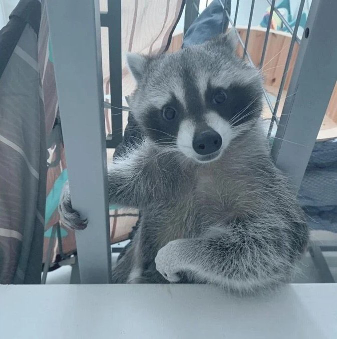 관심 유저 프로필 이미지