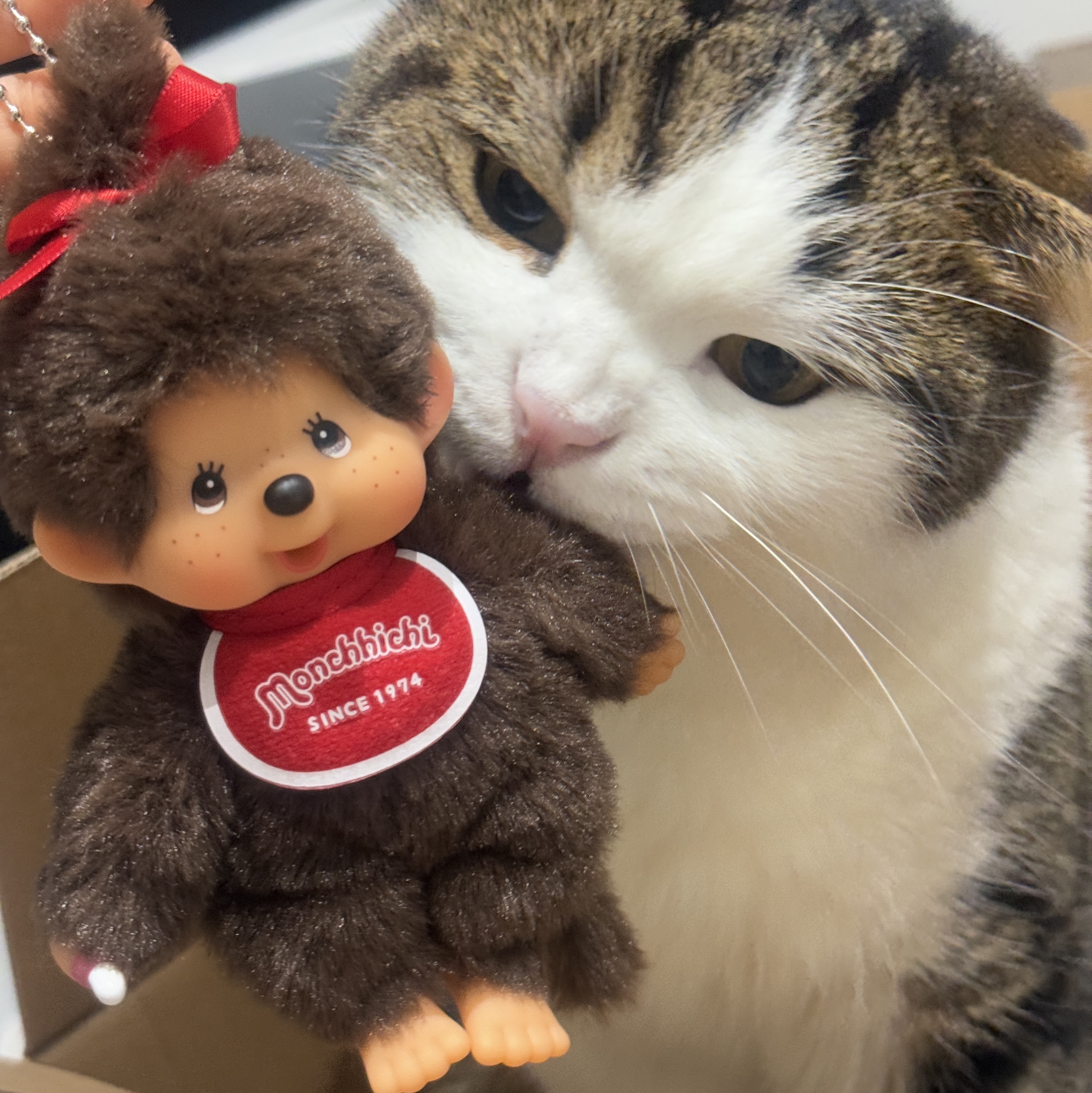 Monchhichi SS Girl Key Chain Brown 착용 스타일