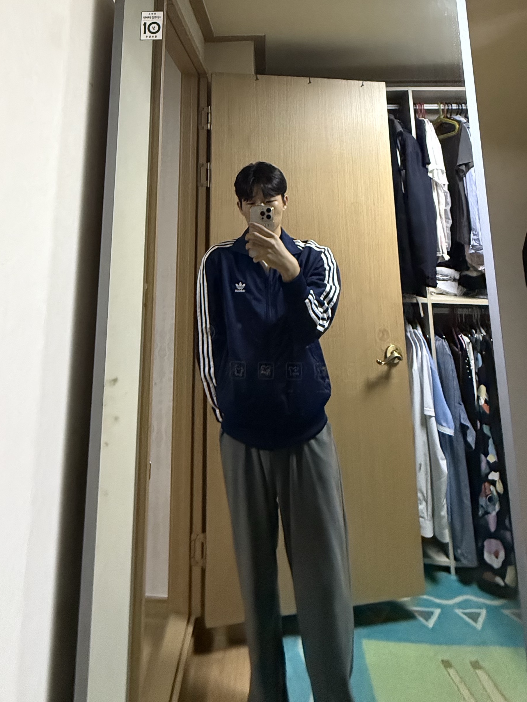 Adidas Adicolor Classic Firebird Track Top Night Indigo - KR Sizing 착용 스타일