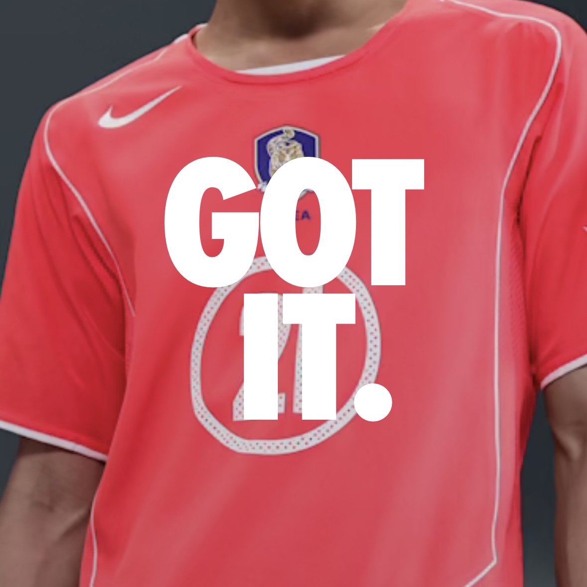 Nike Park Ji-Sung South Korea 2004 Total 90 Reissue Soccer Replica Jersey (Marking Ver.) 착용 스타일