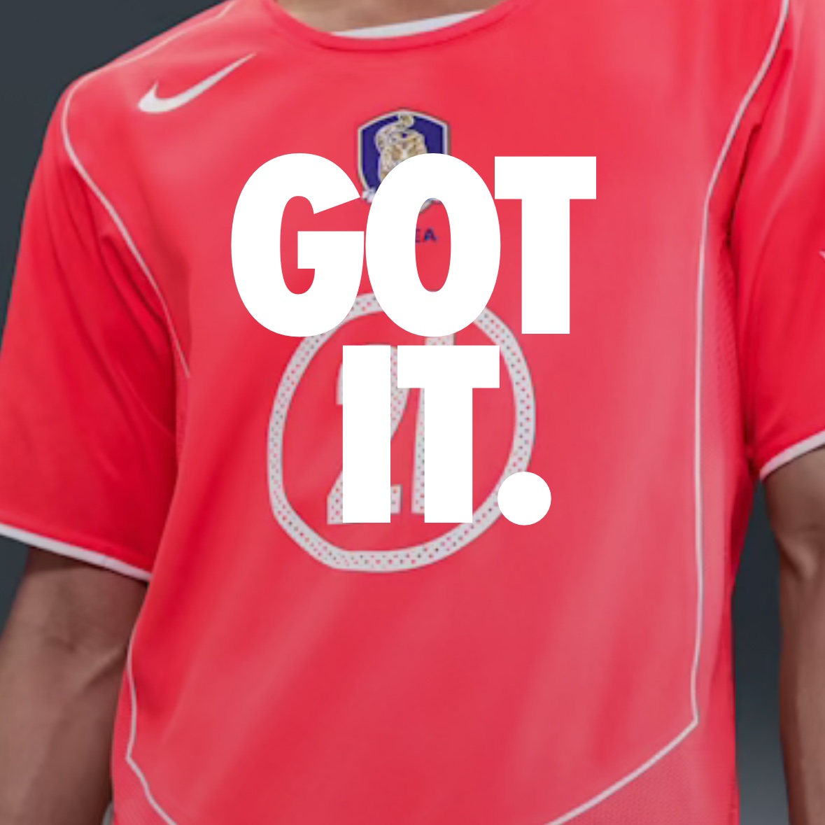 Nike Park Ji-Sung South Korea 2004 Total 90 Reissue Soccer Replica Jersey (Marking Ver.) 착용 스타일