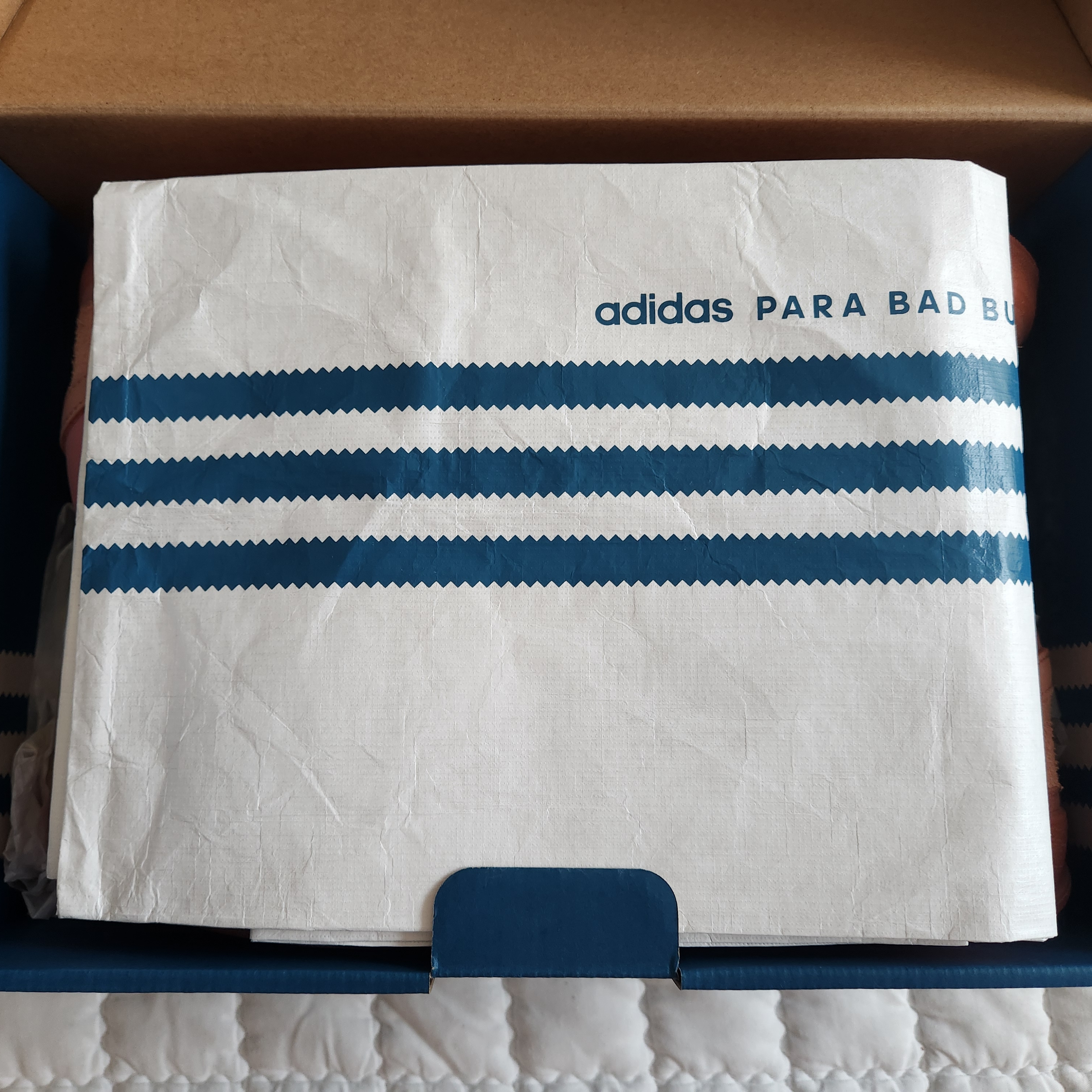 Adidas x Bad Bunny Gazelle Indoor Wonder Clay Wonder Quartz 착용 스타일 - 1