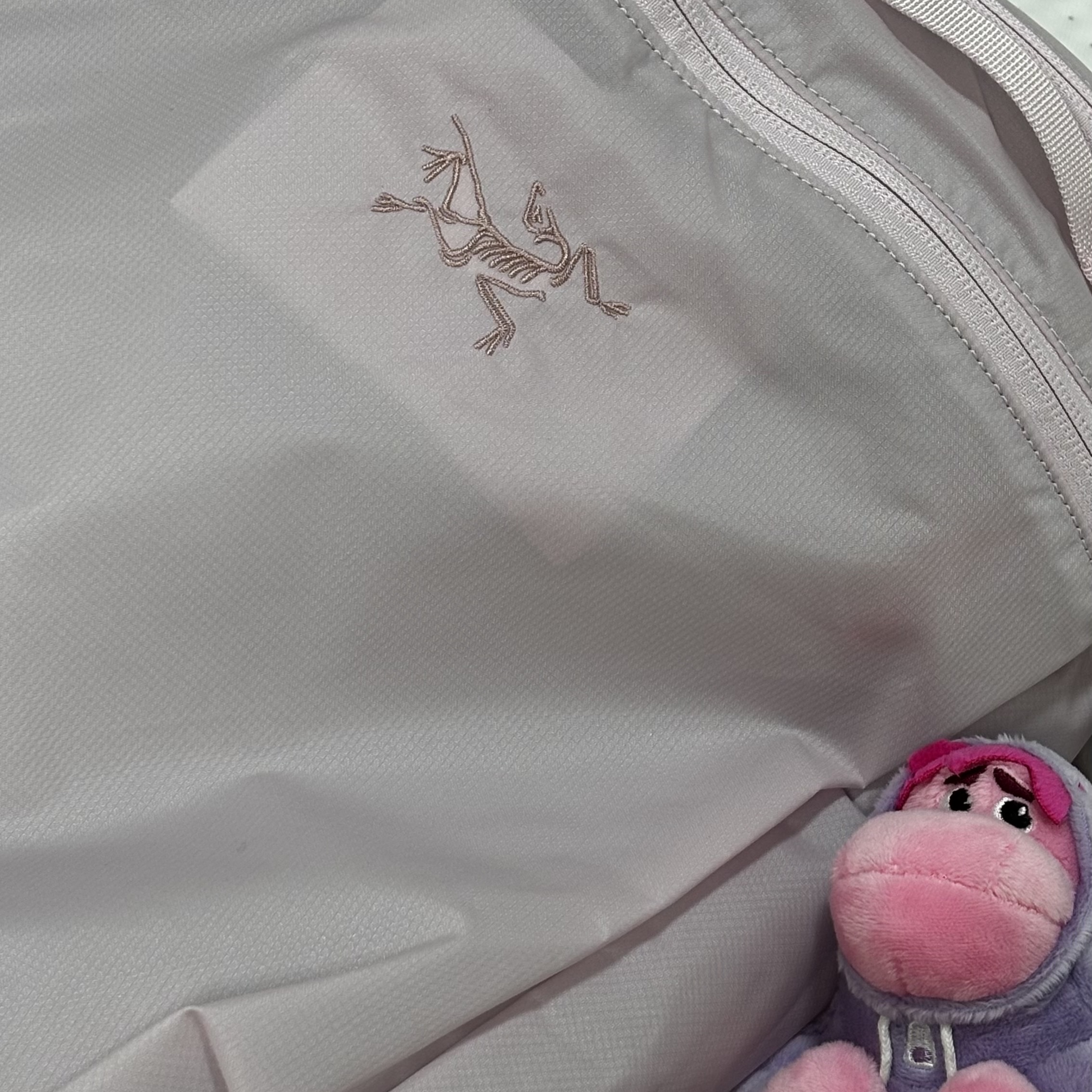 Arc'teryx Heliad 15 Backpack Pink Glow 착용 스타일