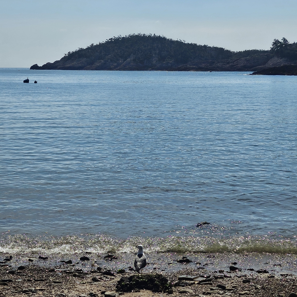 관심 유저 프로필 이미지