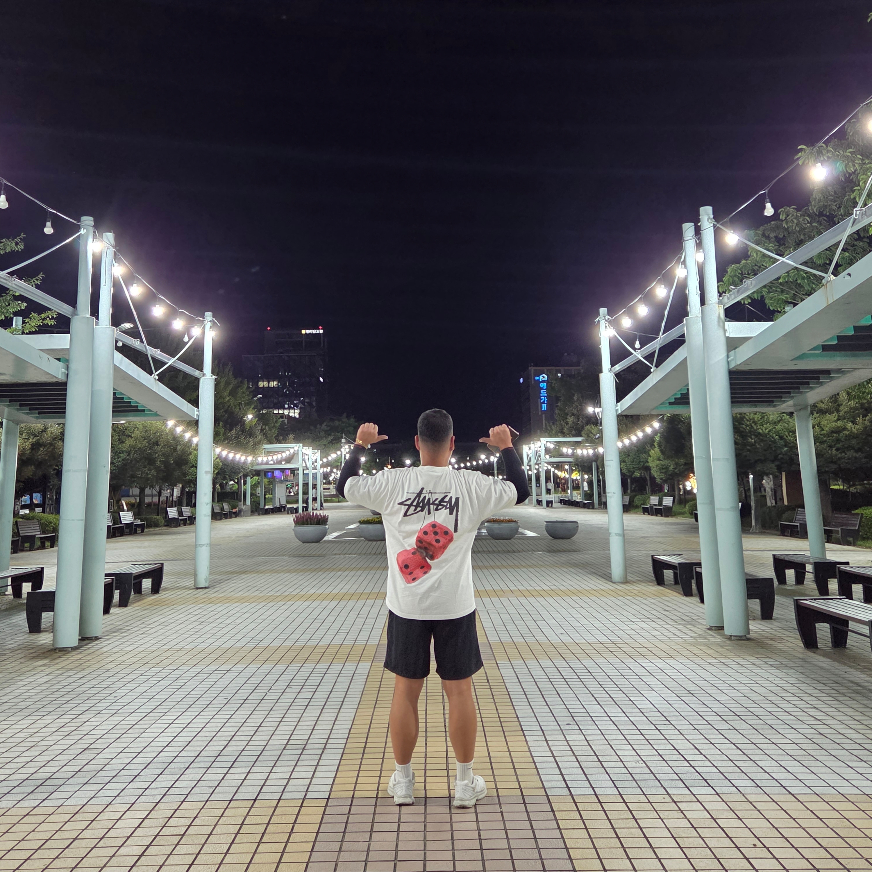 Stussy Fuzzy Dice T-Shirt White, Stussy Big Basic Water Shorts Black 착용 스타일 - 1