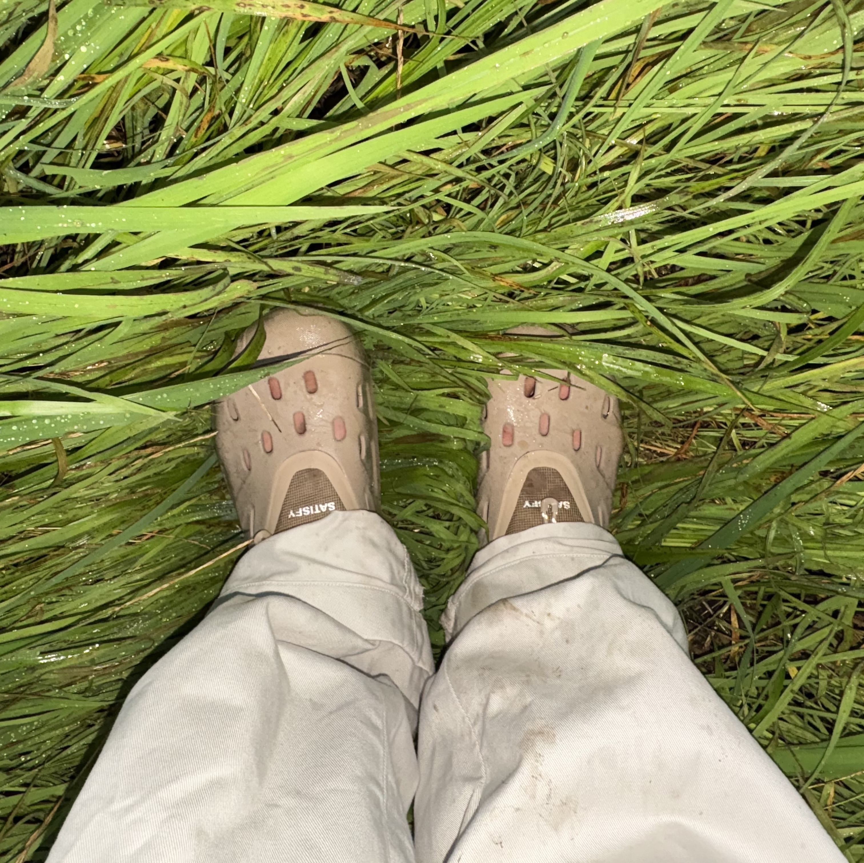 Crocs x Satisfy Quick Trail Low Brown 착용 스타일
