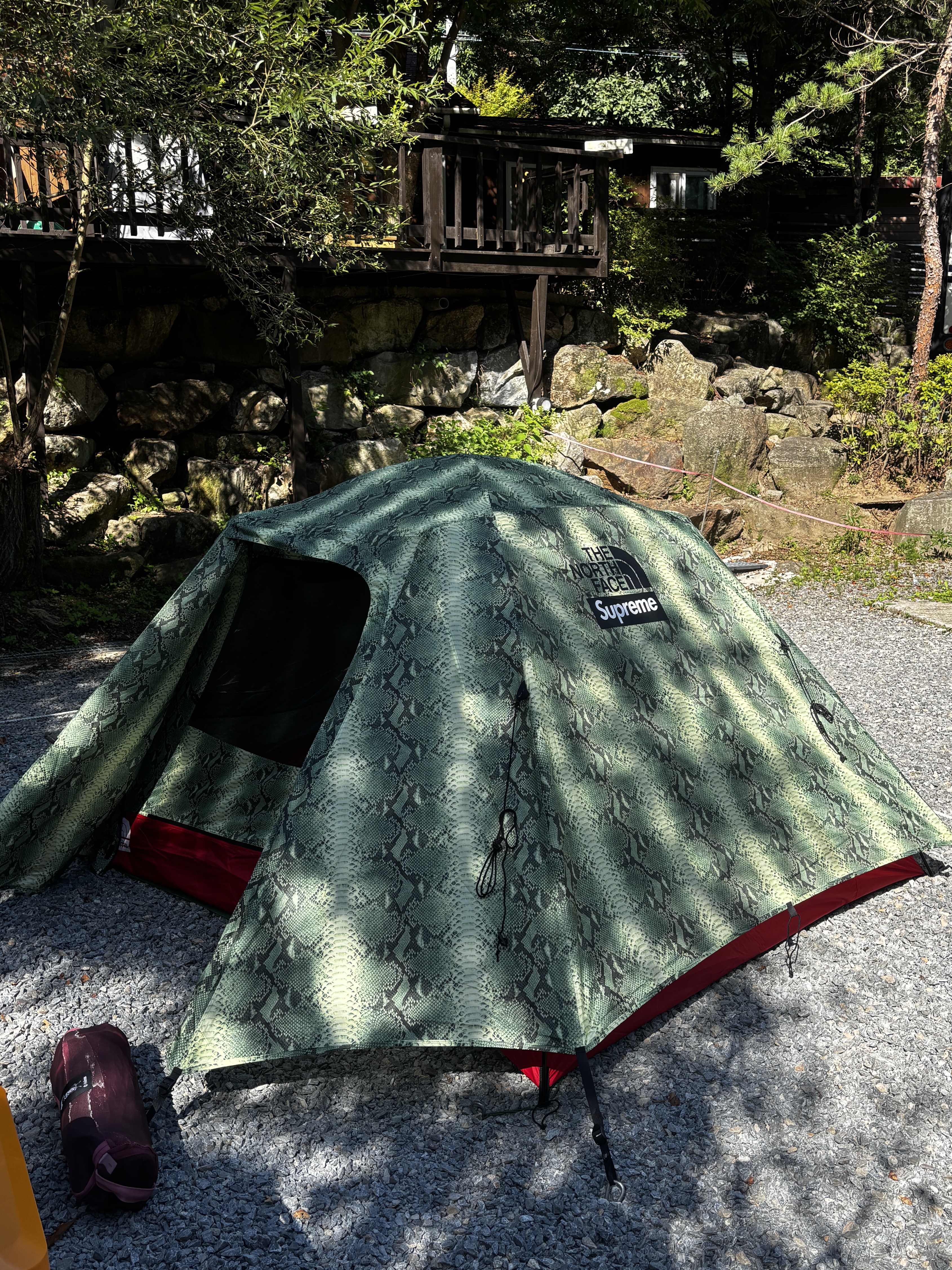 Supreme x The North Face Snakeskin Taped Seam Stormbreak 3 Tent Green - 18SS 착용 스타일