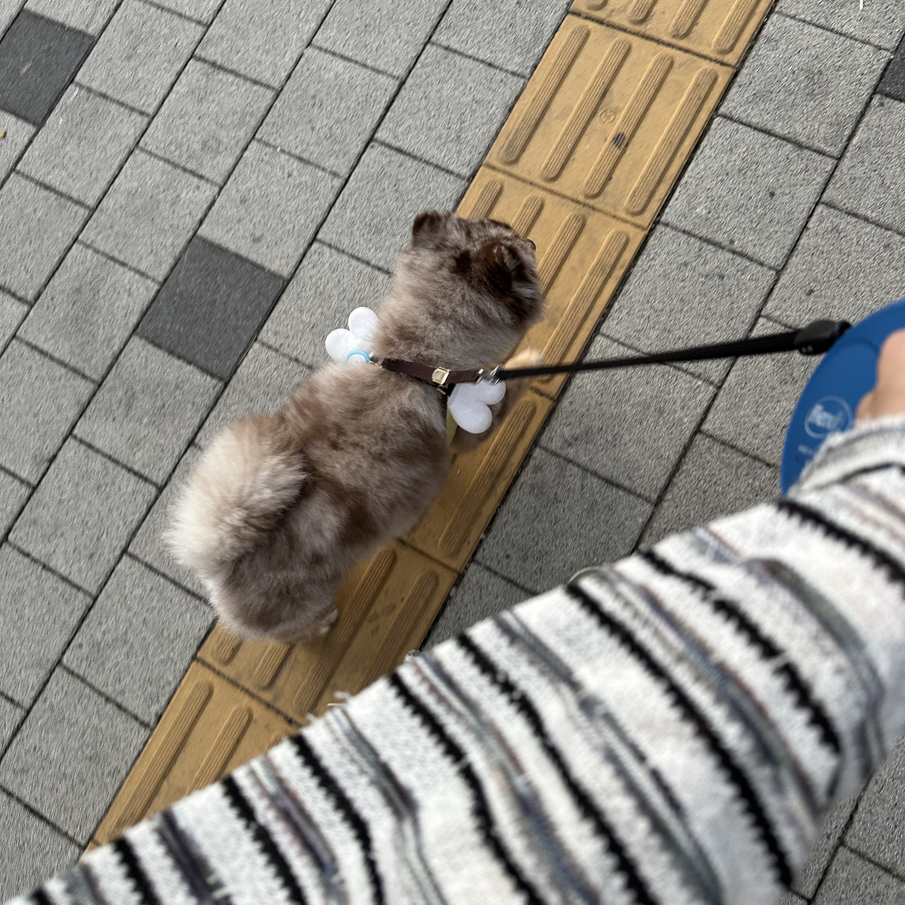 9Lana님의 스타일