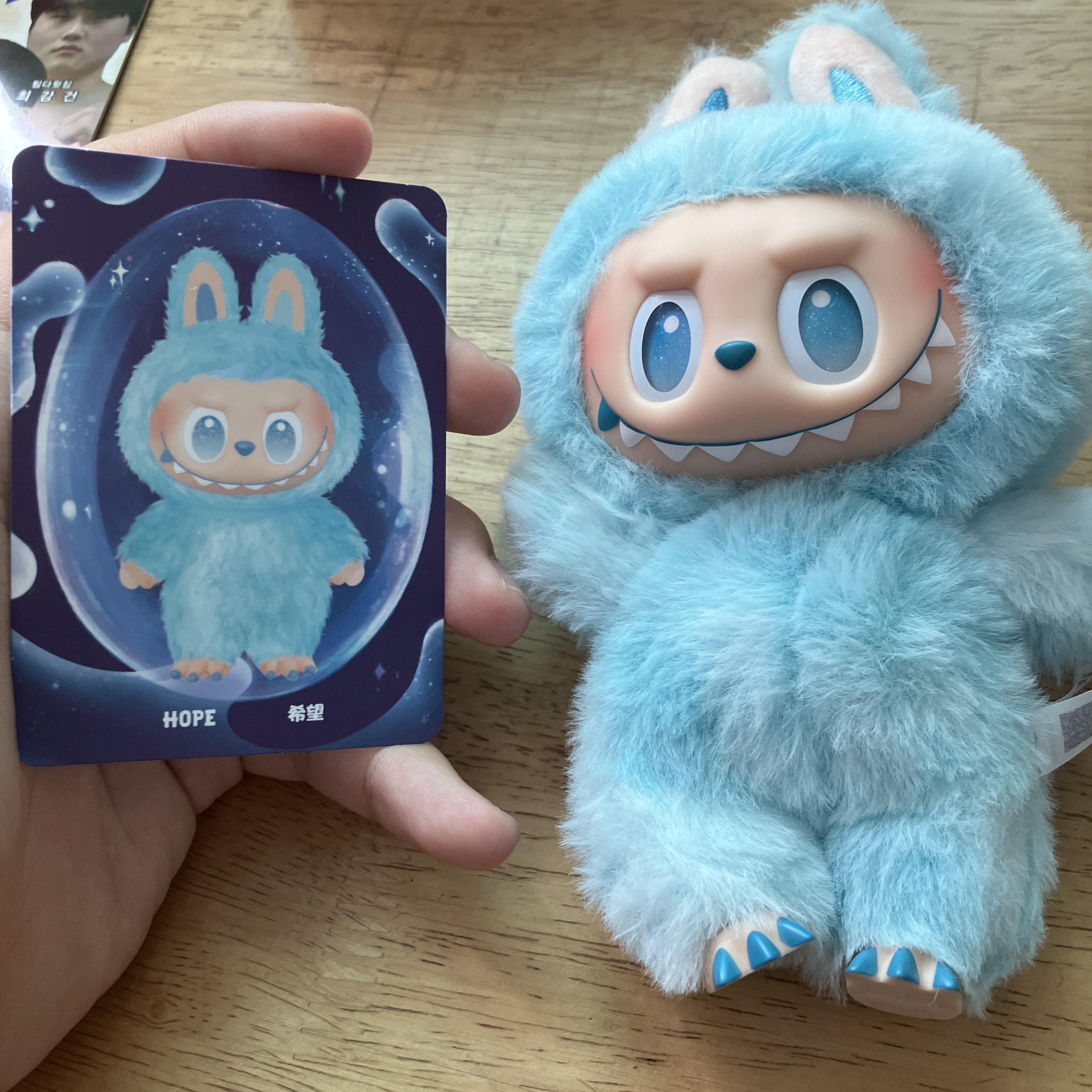 Pop Mart Labubu The Monsters Highlight Series Sealed Case (1 Blind Box) 착용 스타일