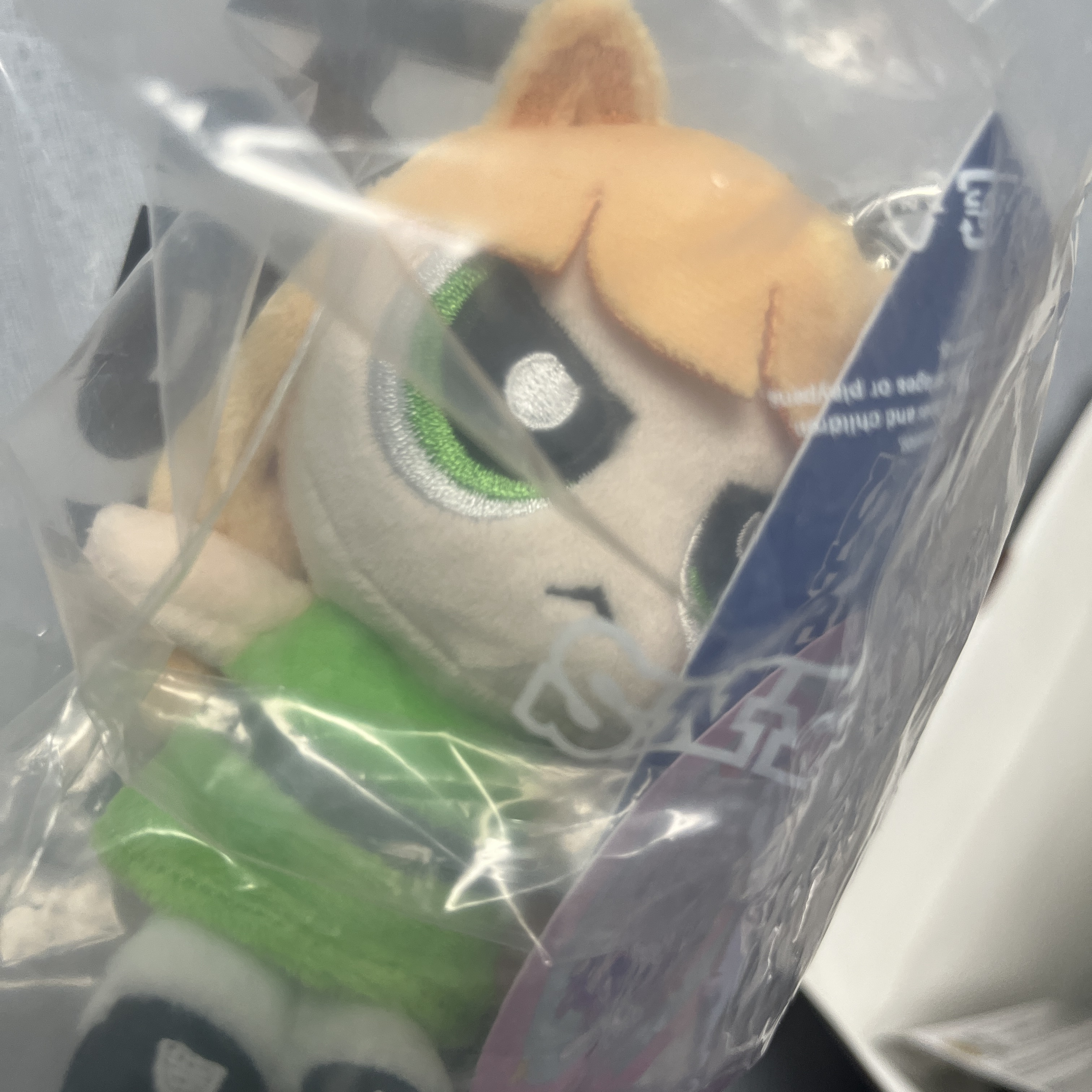 Newjeans x The Powerpuff Girls Bag Charm Haerin 착용 스타일