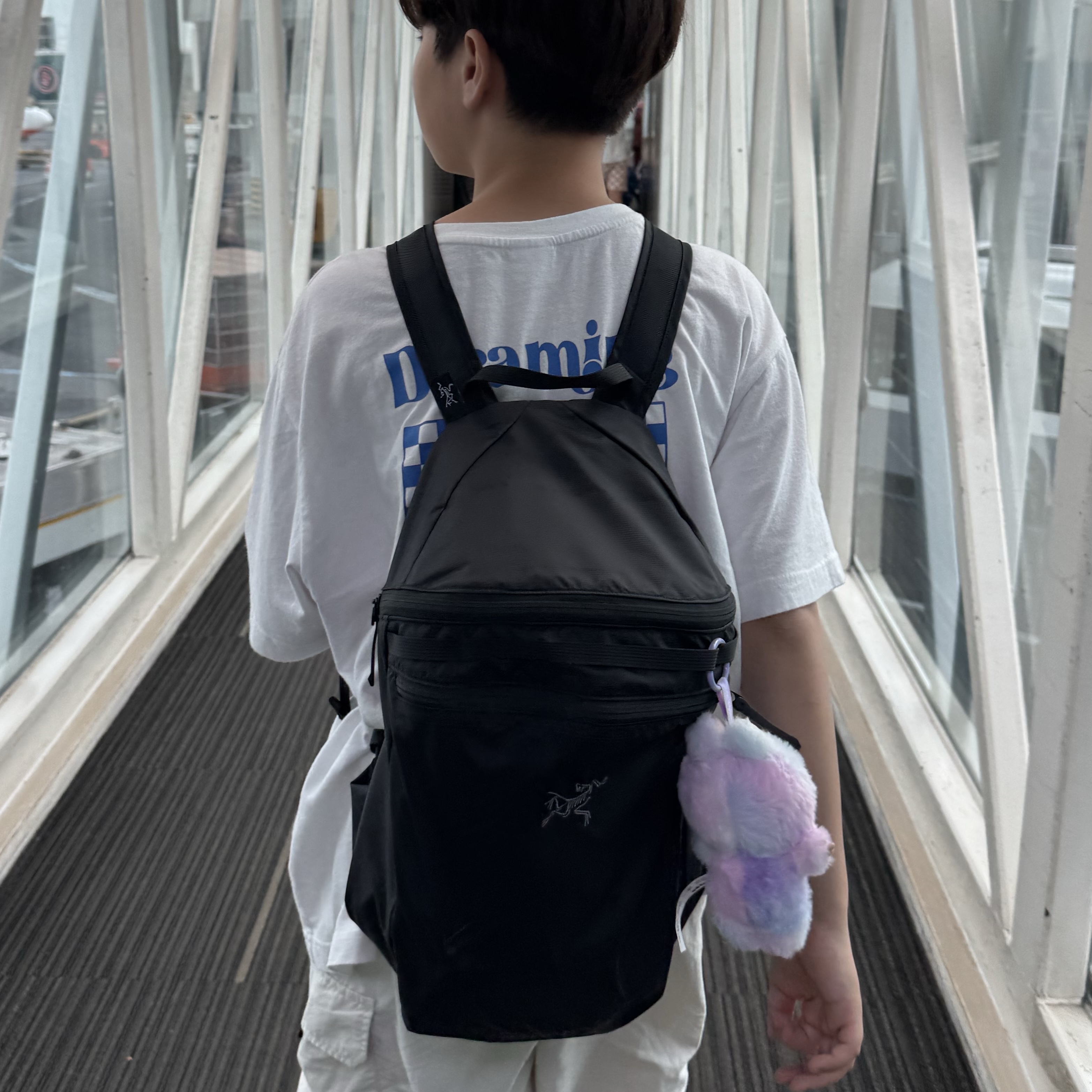 Arc'teryx Heliad 15 Backpack Black, Pop Mart Labubu The Monsters Highlight Series Luck Keyring (Opened Case) 착용 스타일 - 1