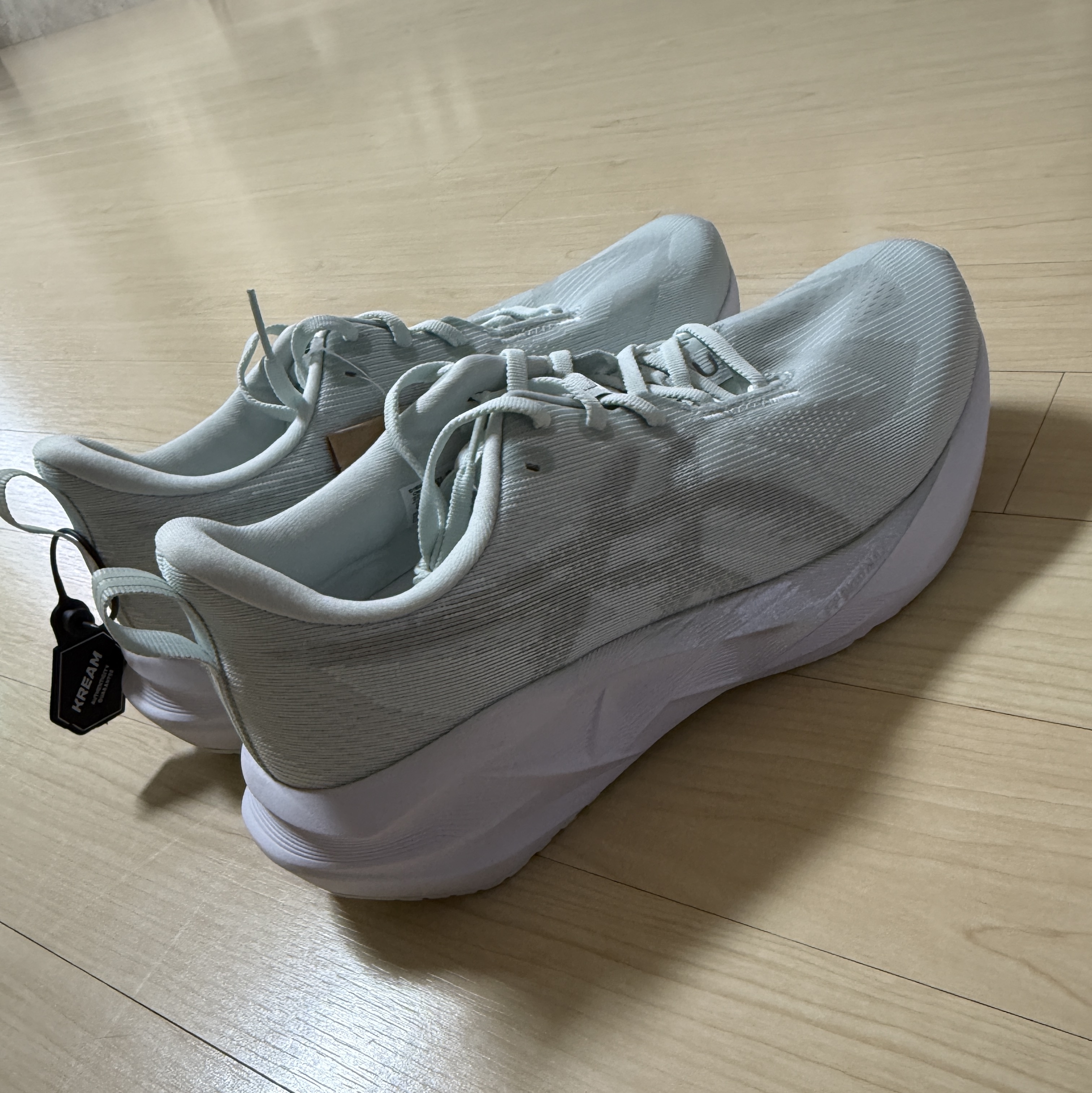 Asics Novablast 5 Pure Aqua Seal Grey 착용 스타일 - 1