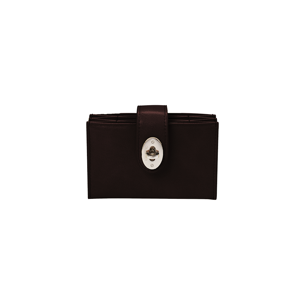 ANC-25SS032_NEW Anoetic Buckle Accordion Bag_Brown