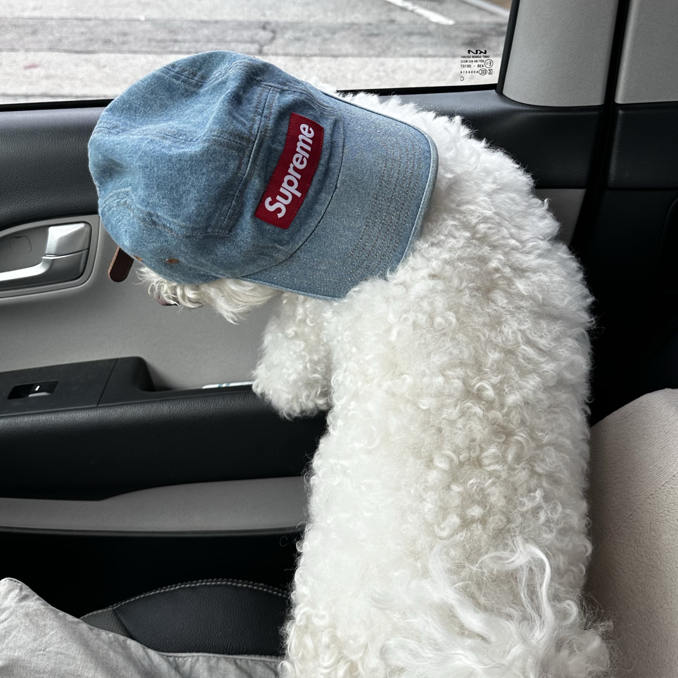 Supreme Washed Chino Twill Camp Cap Denim - 22FW 착용 스타일 - 2