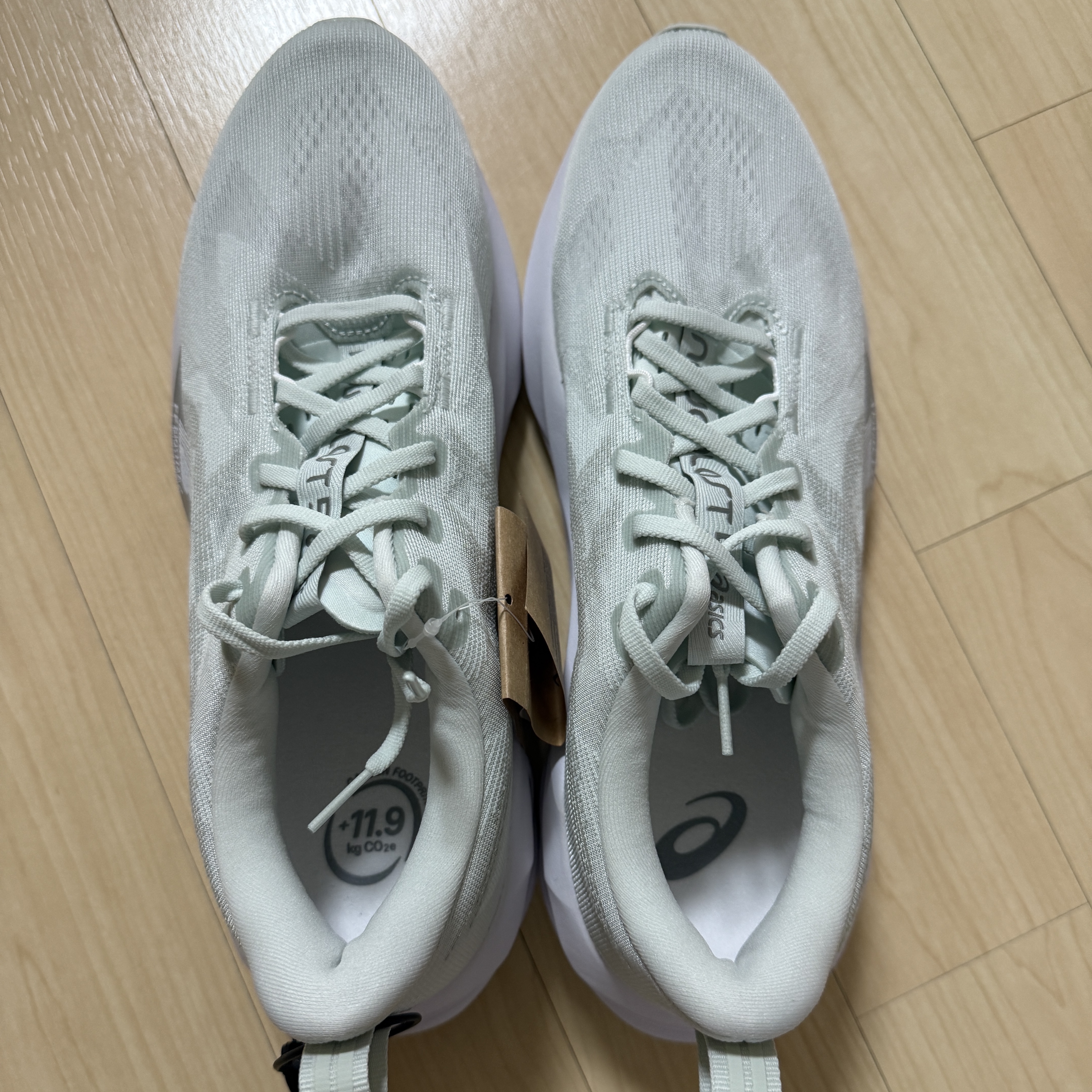 Asics Novablast 5 Pure Aqua Seal Grey 착용 스타일 - 2