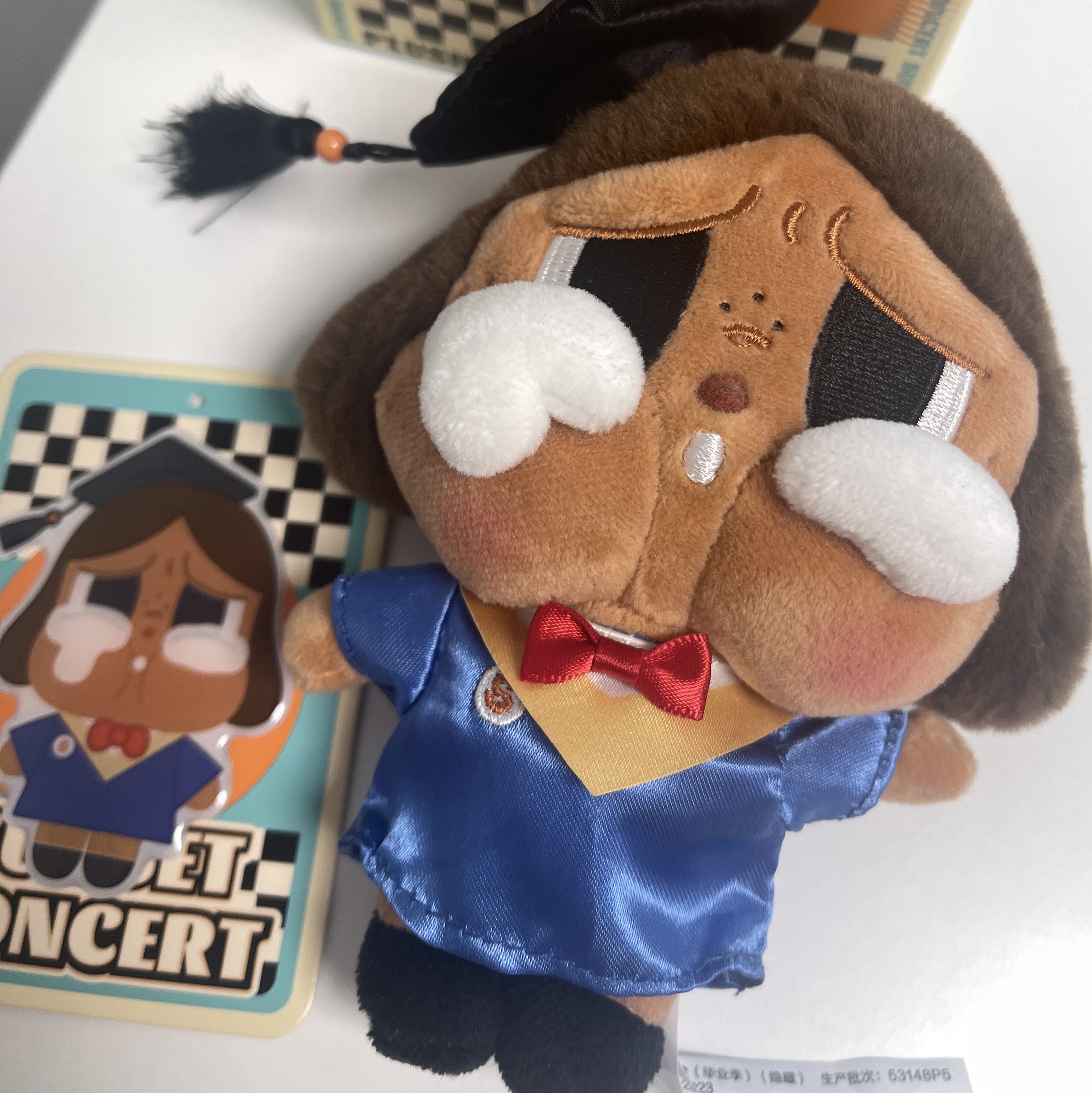 Pop Mart Crybaby Sunset Concert Series Plush Pendant Graduation Season (Opened Case) 착용 스타일