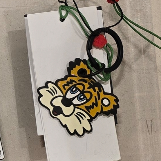 Kenzo x Verdy Market Keyring Multicolor - 25SS 착용 스타일