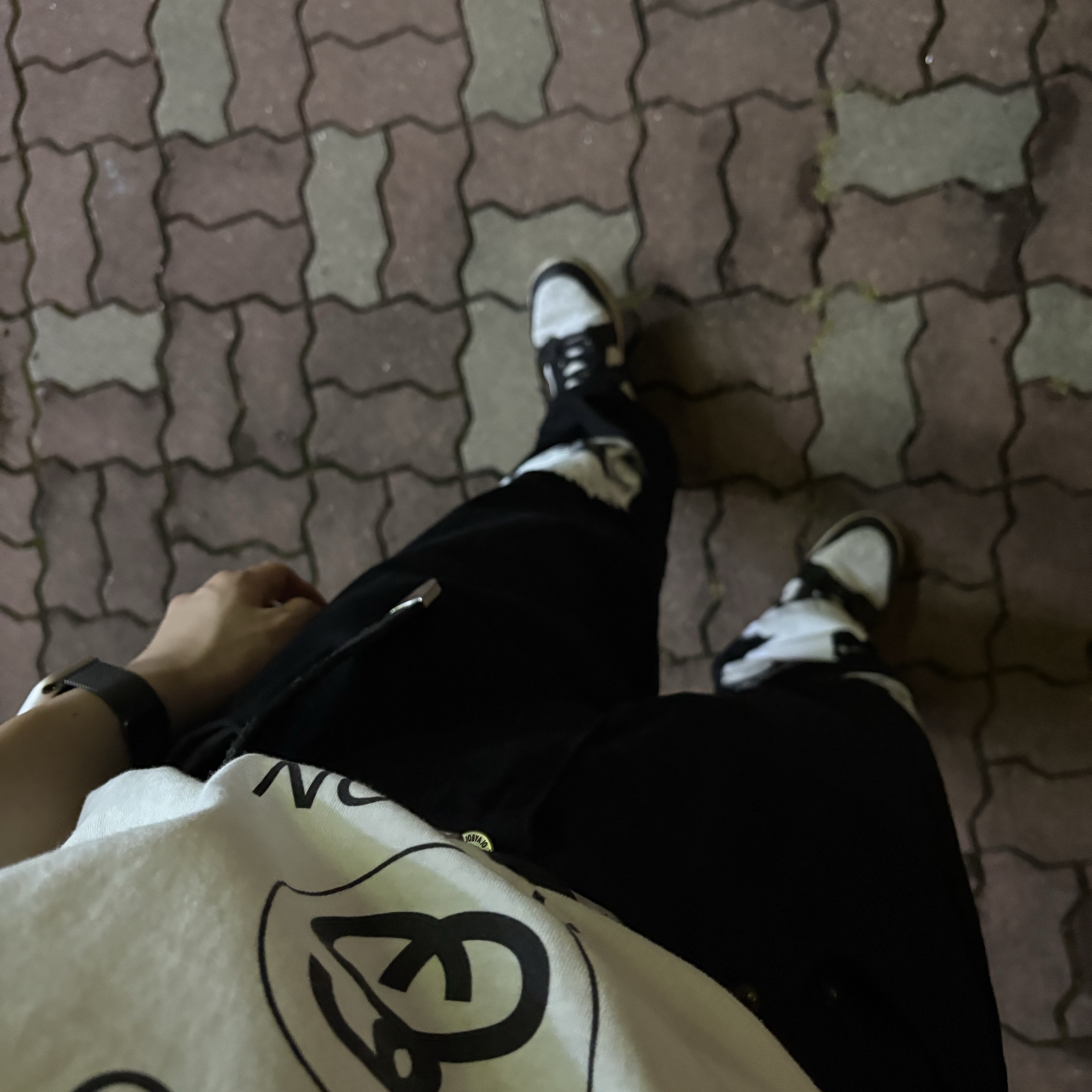 Stussy World Tour T-Shirt White 2024,2025, Nike Dunk Low Retro Black 착용 스타일 - 2