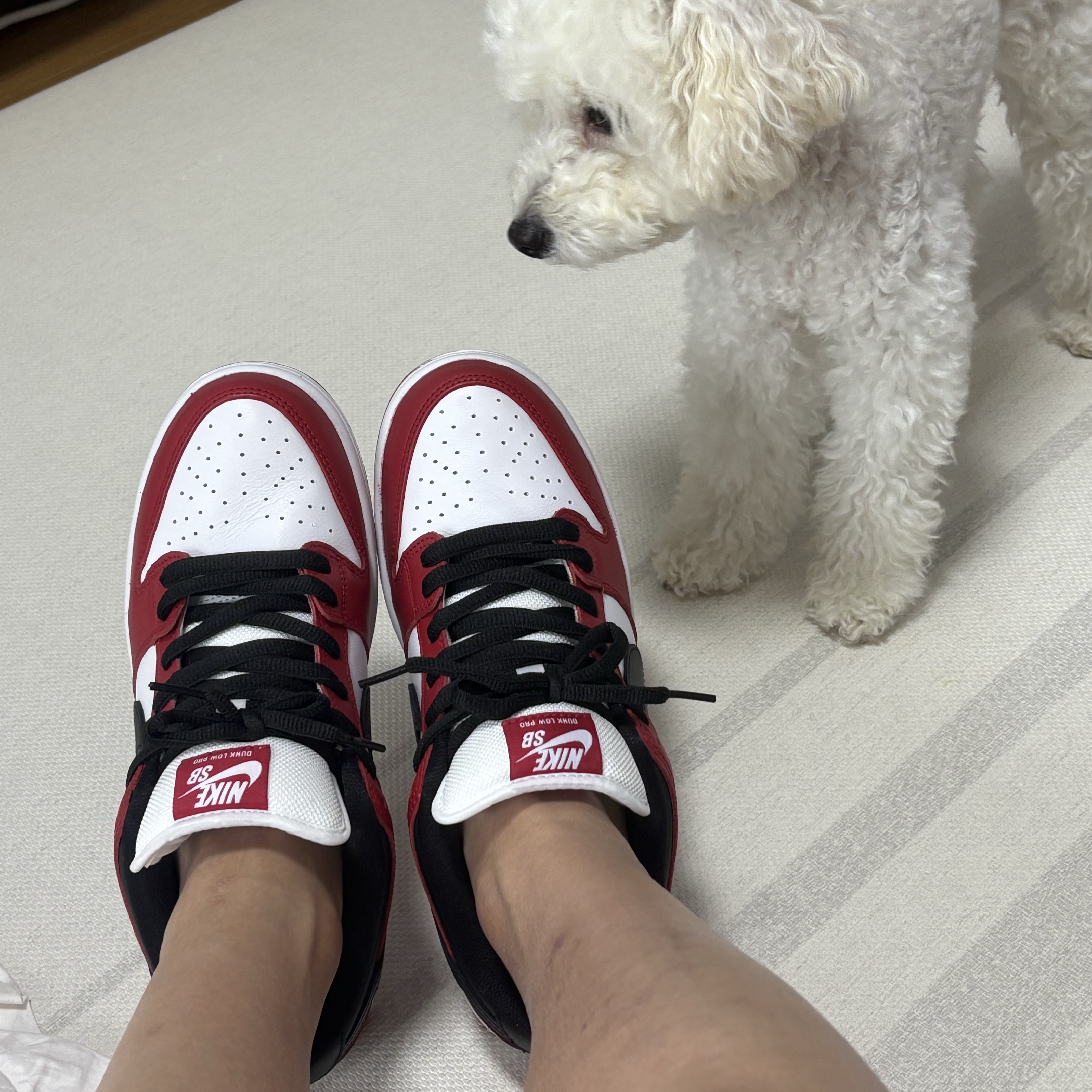 Nike SB Dunk Low Pro Chicago 착용 스타일 - 2