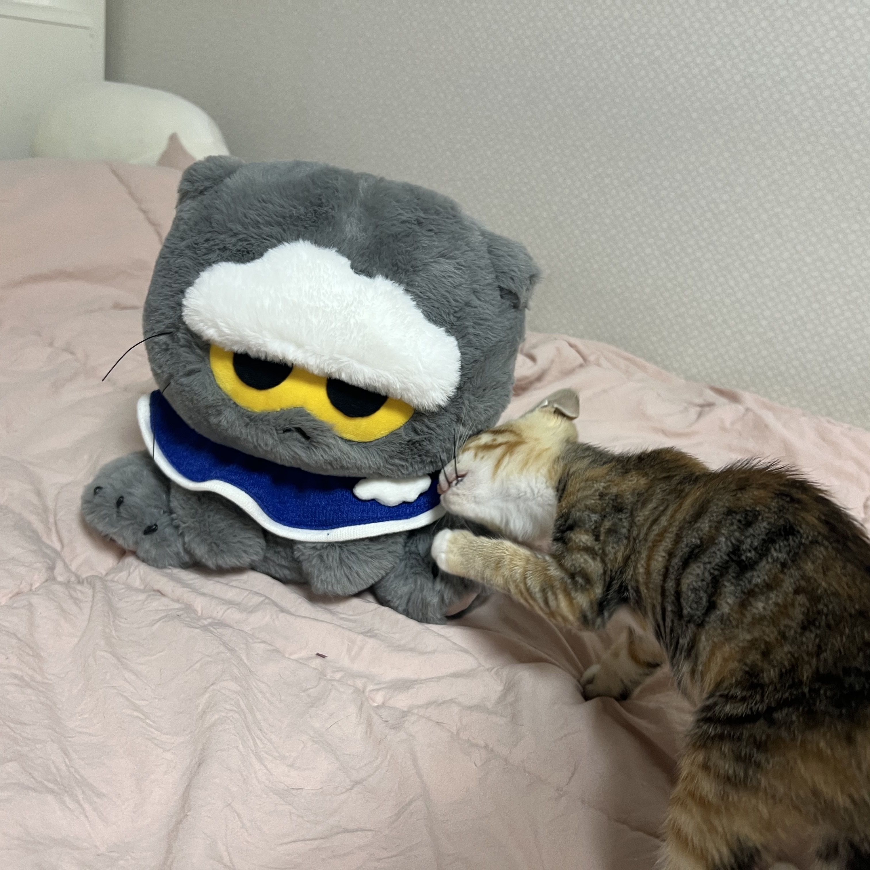 Zo&Friends Zoa Medium Plush Grey 착용 스타일 - 3