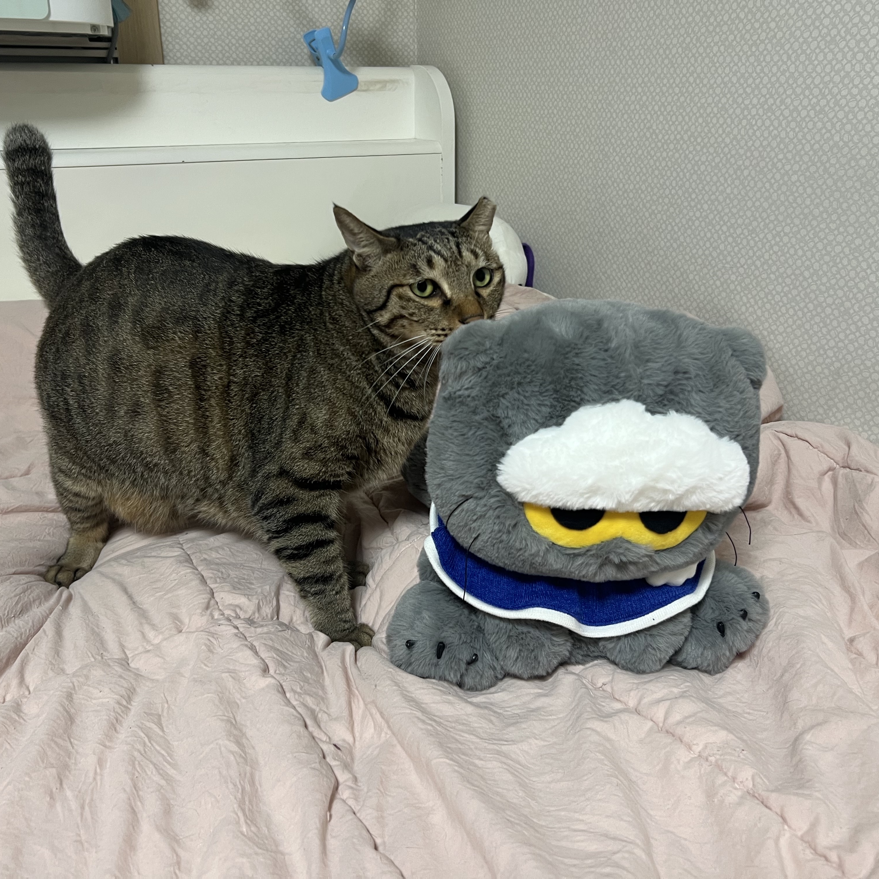 Zo&Friends Zoa Medium Plush Grey 착용 스타일 - 2