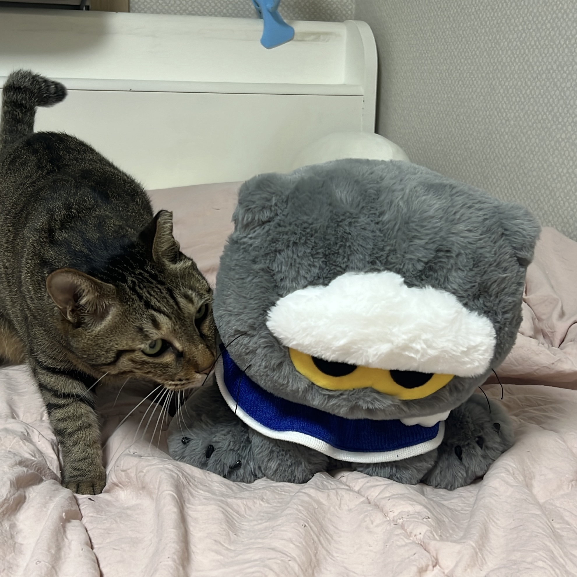 Zo&Friends Zoa Medium Plush Grey 착용 스타일 - 4