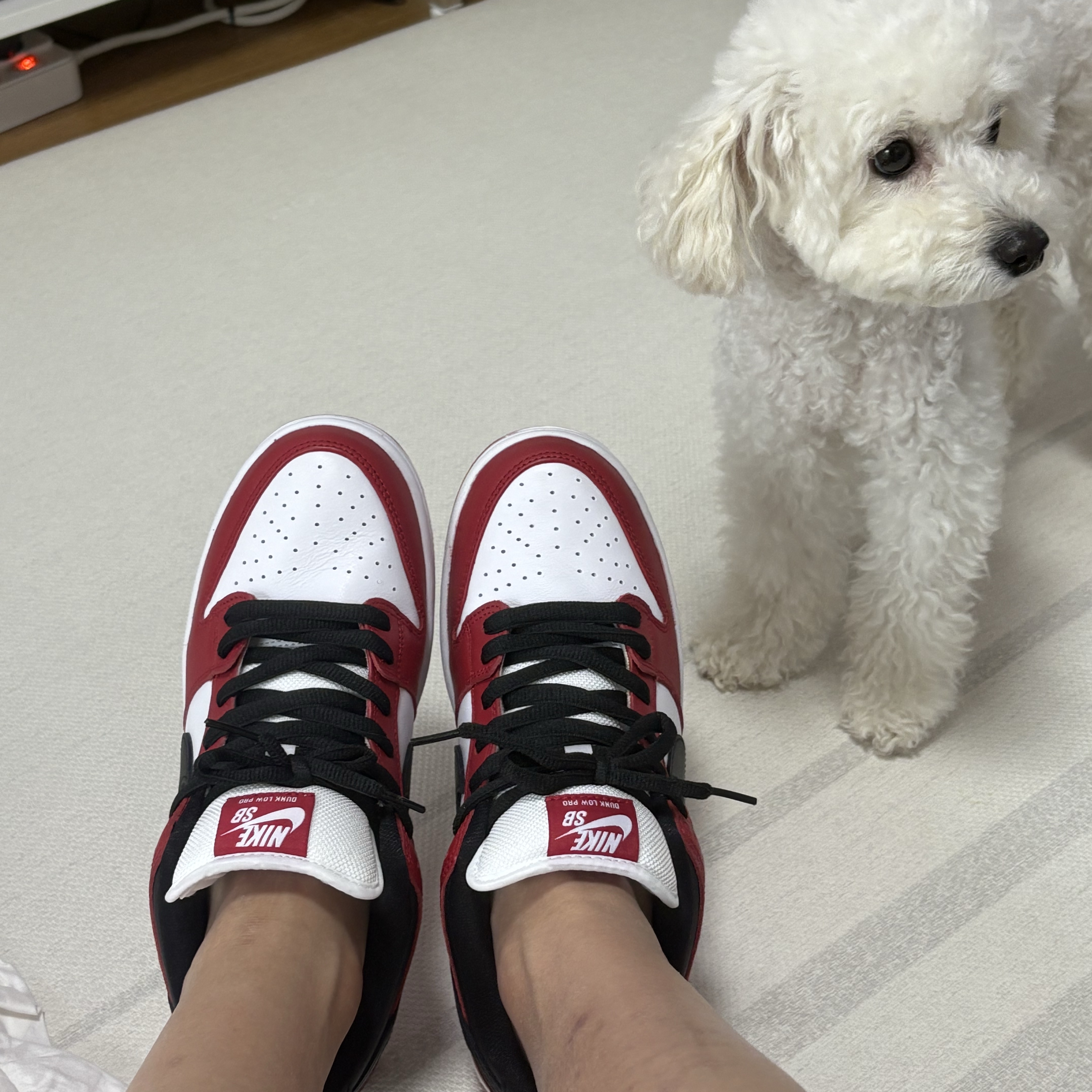 Nike SB Dunk Low Pro Chicago 착용 스타일 - 1