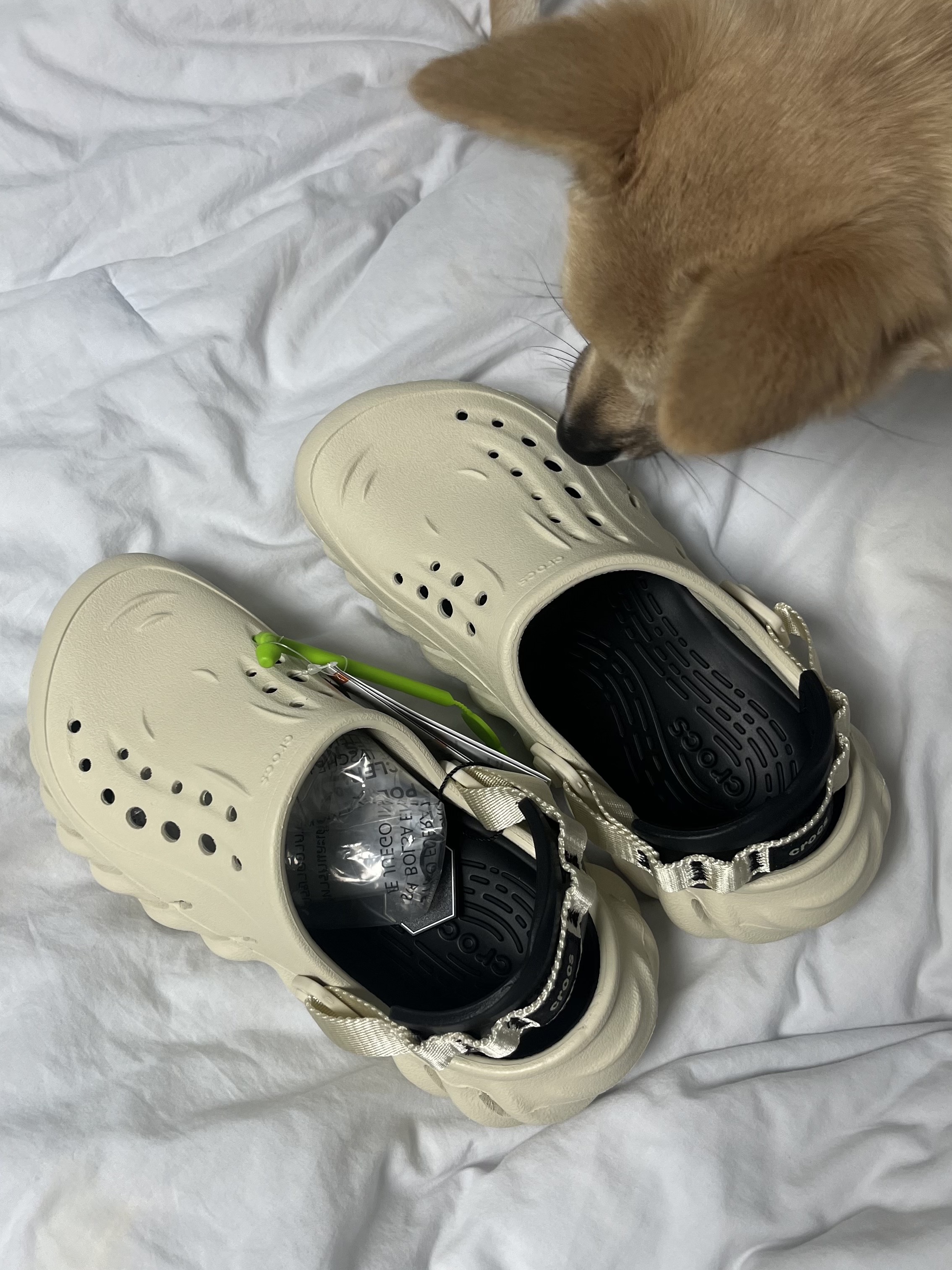 Crocs Echo Clog Bone Black 착용 스타일