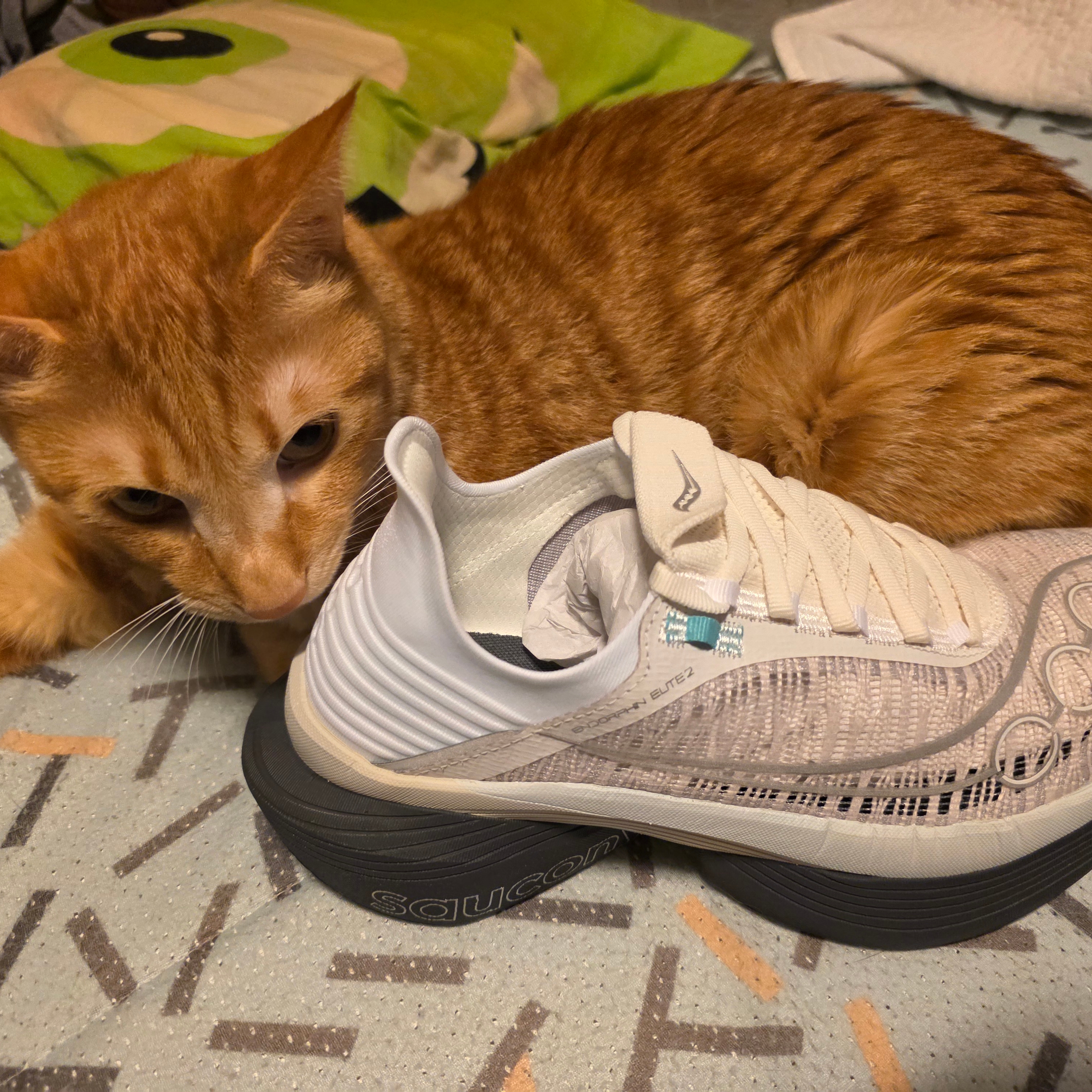 Saucony Endorphin Elite 2 Fog Cinder 착용 스타일