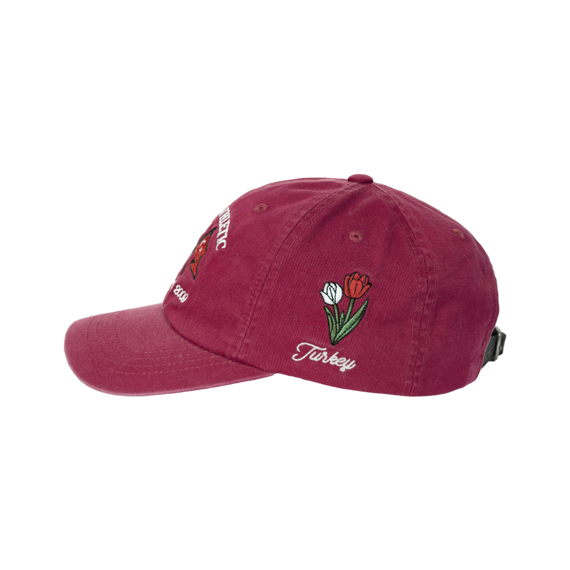 팔라스 애슬레틱 6-패널 튀르키예 - 25FW(Palace Athletic 6-Panel Turkey - 25FW) - 3